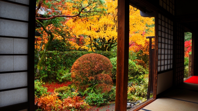 大徳寺高桐院の書院「意北軒」南庭の見頃の紅葉