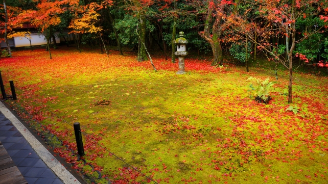 大徳寺高桐院の紅葉につつまれた客殿南庭と燈籠