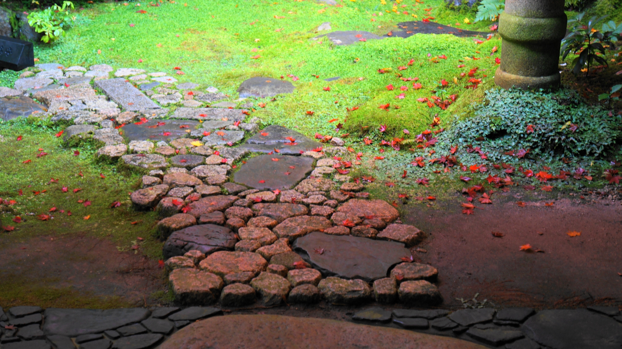 石畳に散る華やかな紅葉