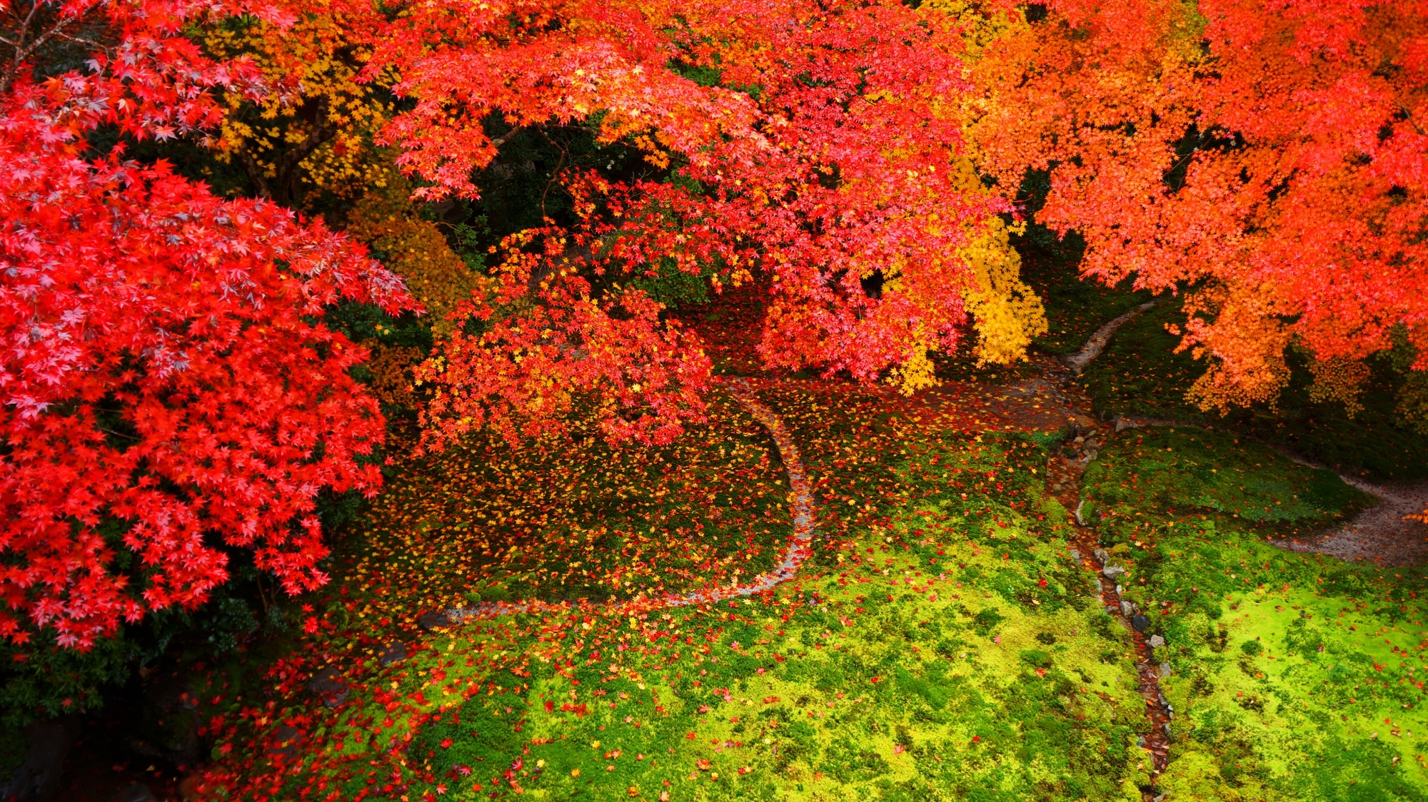 瑠璃光院 紅葉 究極の秋の彩り 京都もよう Kyoto Moyou