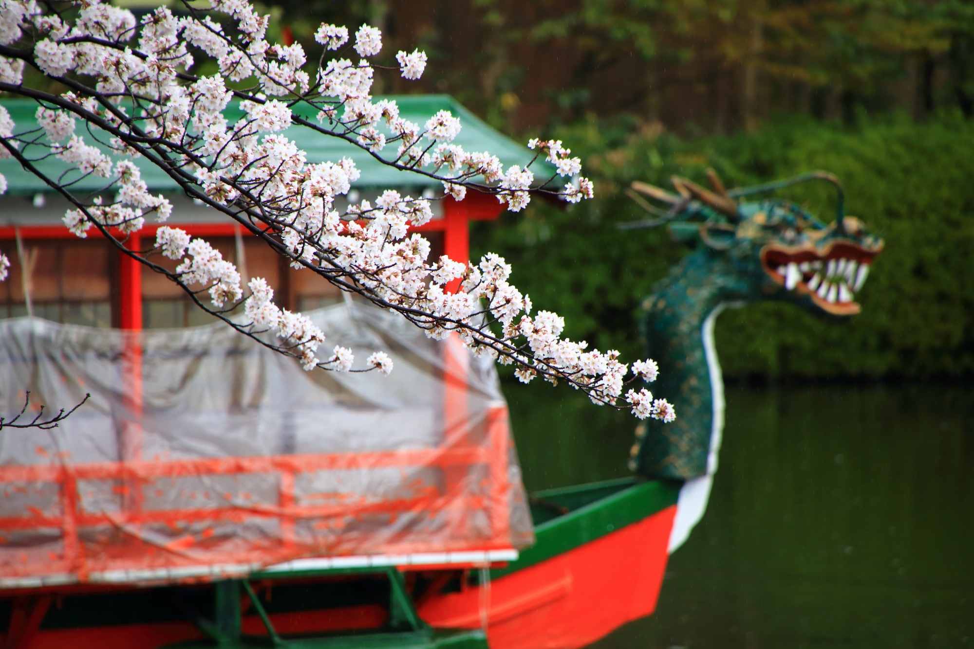 龍王船を彩る華やかな桜