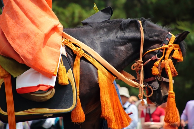 葵祭の本列のお馬さん