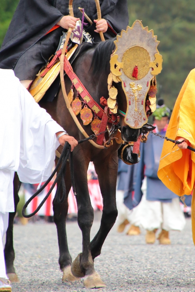 葵祭の本列の鉄仮面のお馬さん