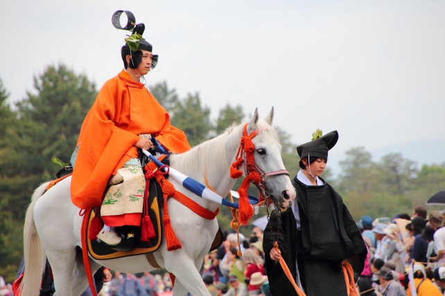 葵祭の行列の馬