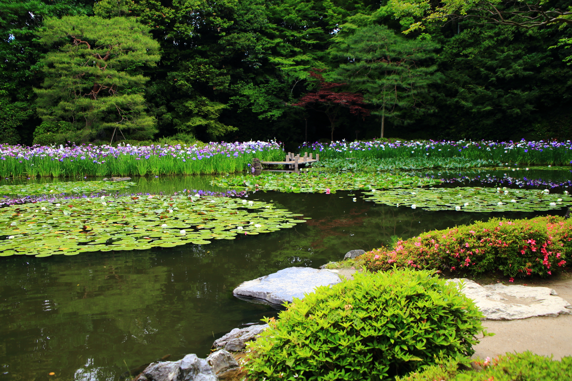 緑と水の美しい庭園の平安神宮西神苑
