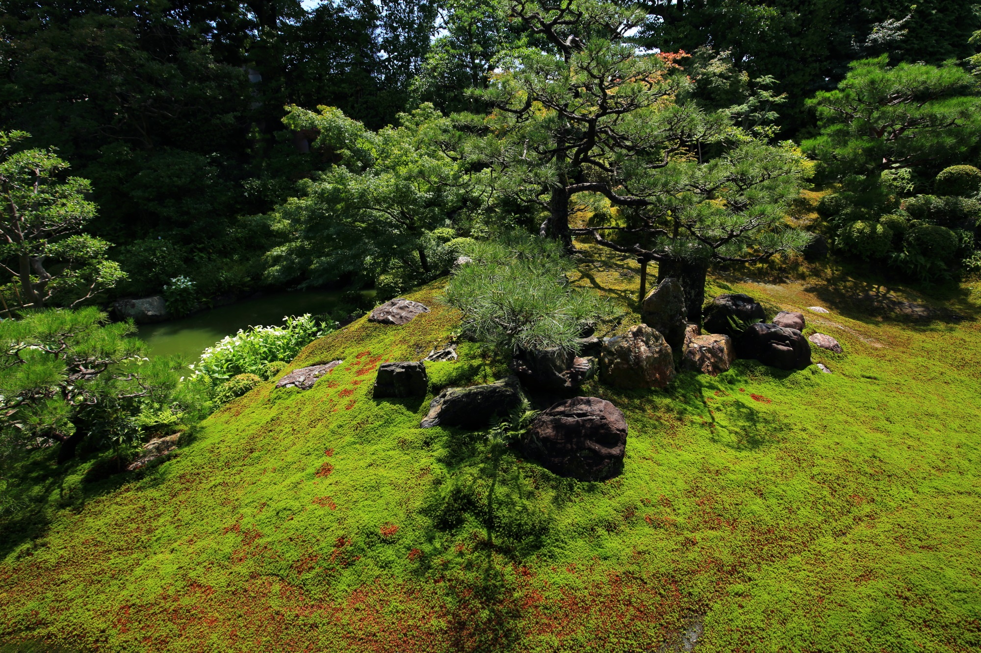 両足院の方丈庭園の水辺に作られた岩と苔の築山