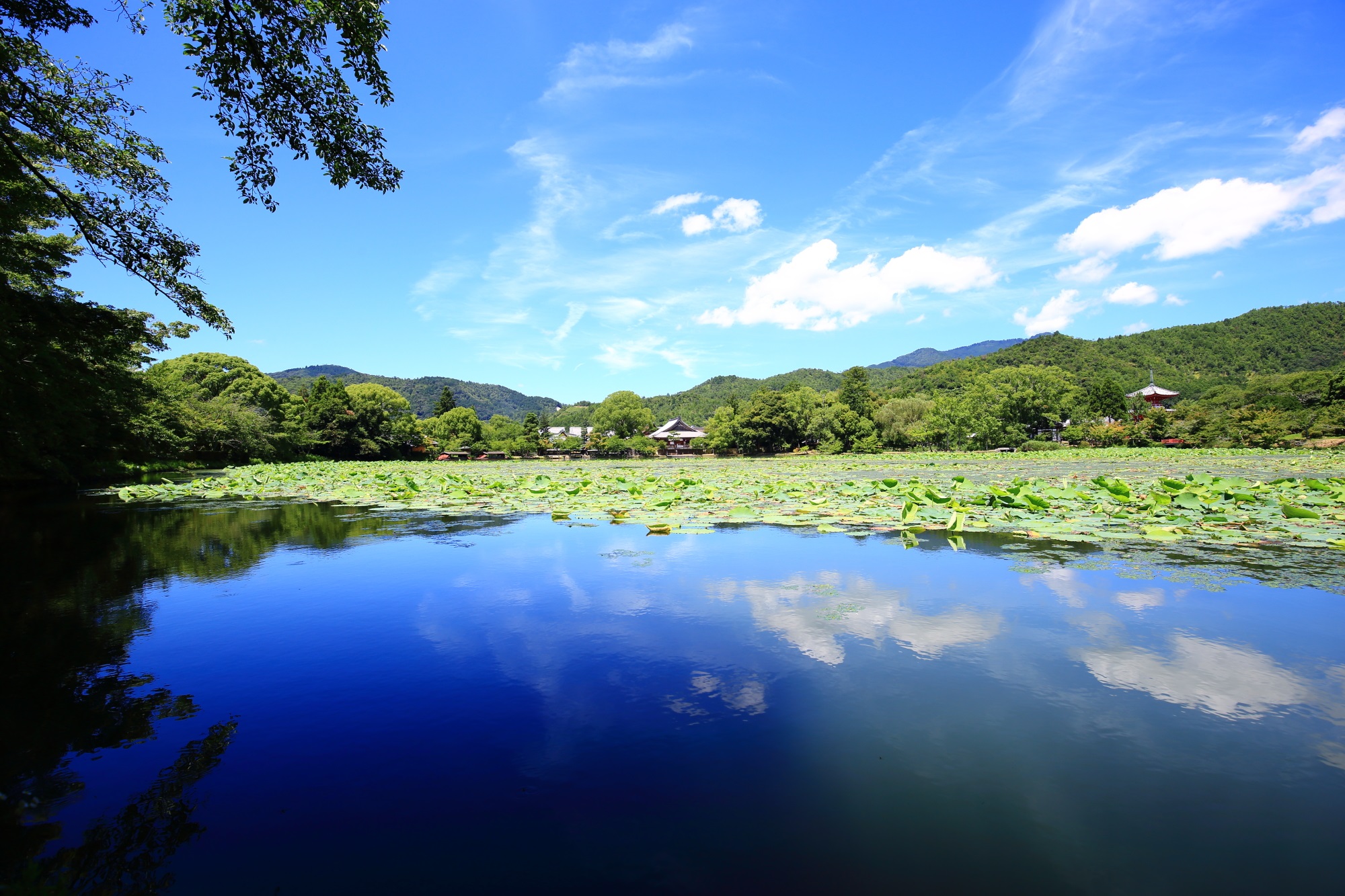 大覚寺の大沢池に映る爽快な夏の空