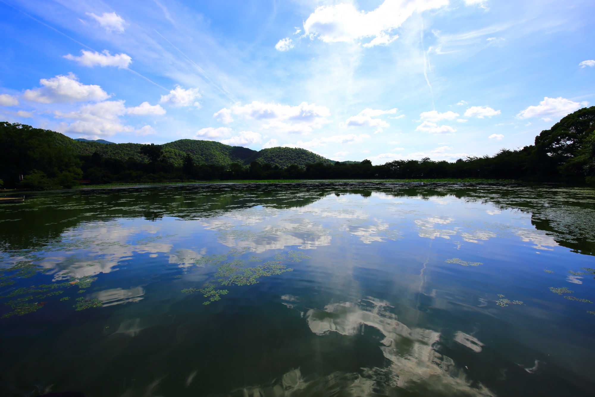 水鏡が美しいことでも知られている大覚寺の大沢池