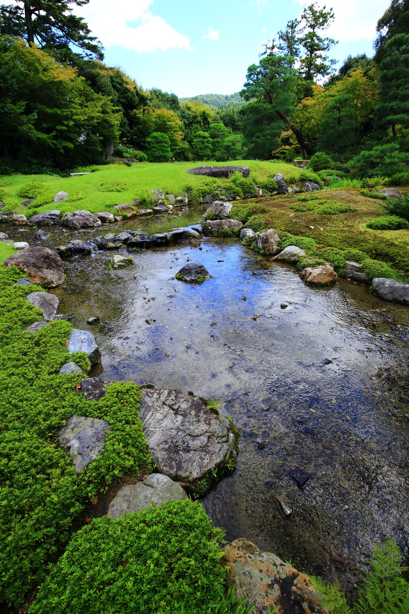 むりんあんの池泉回遊式庭園の水