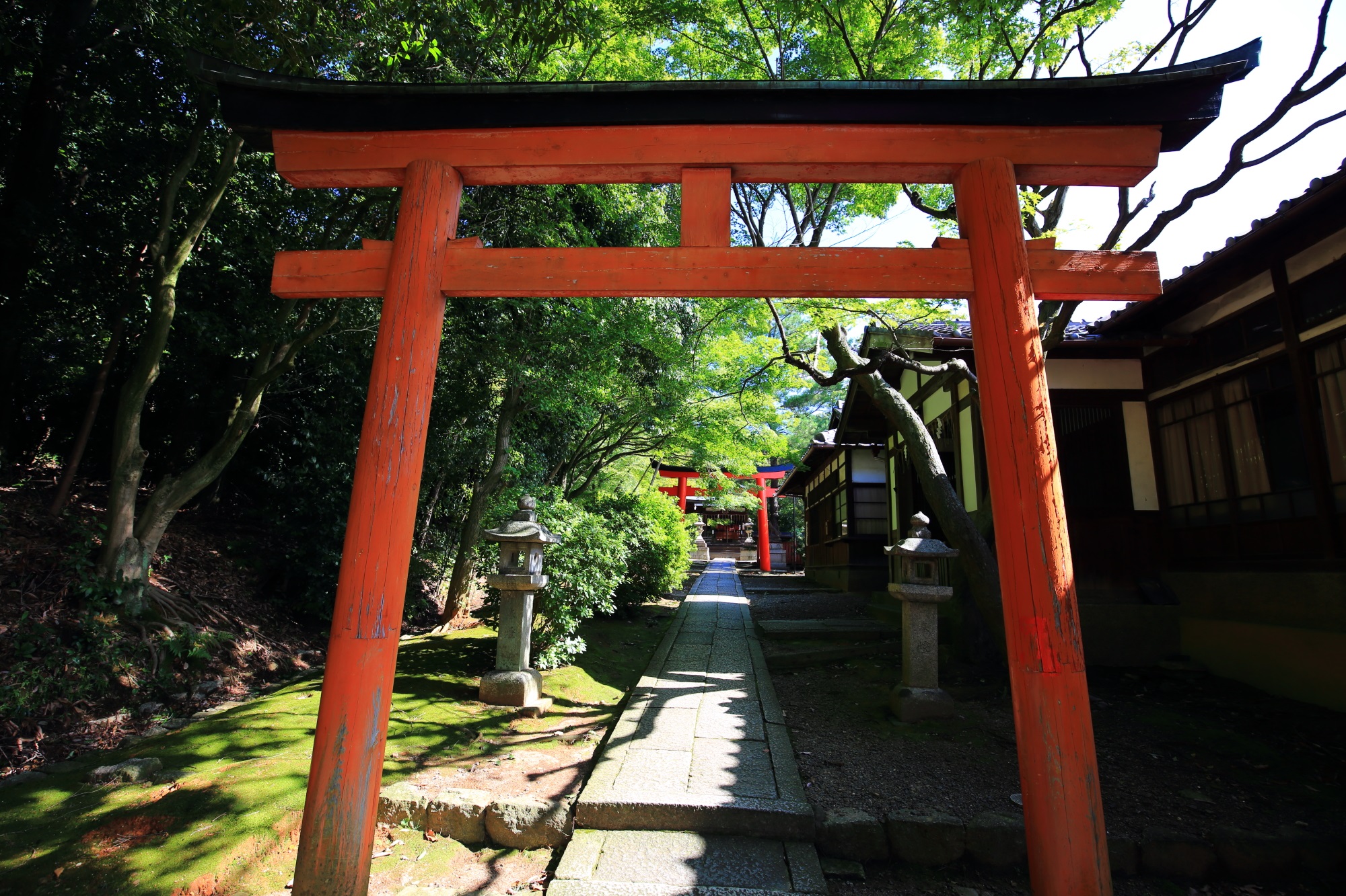 有名な伏見稲荷大社の小さい版のような感じの竹中稲荷神社