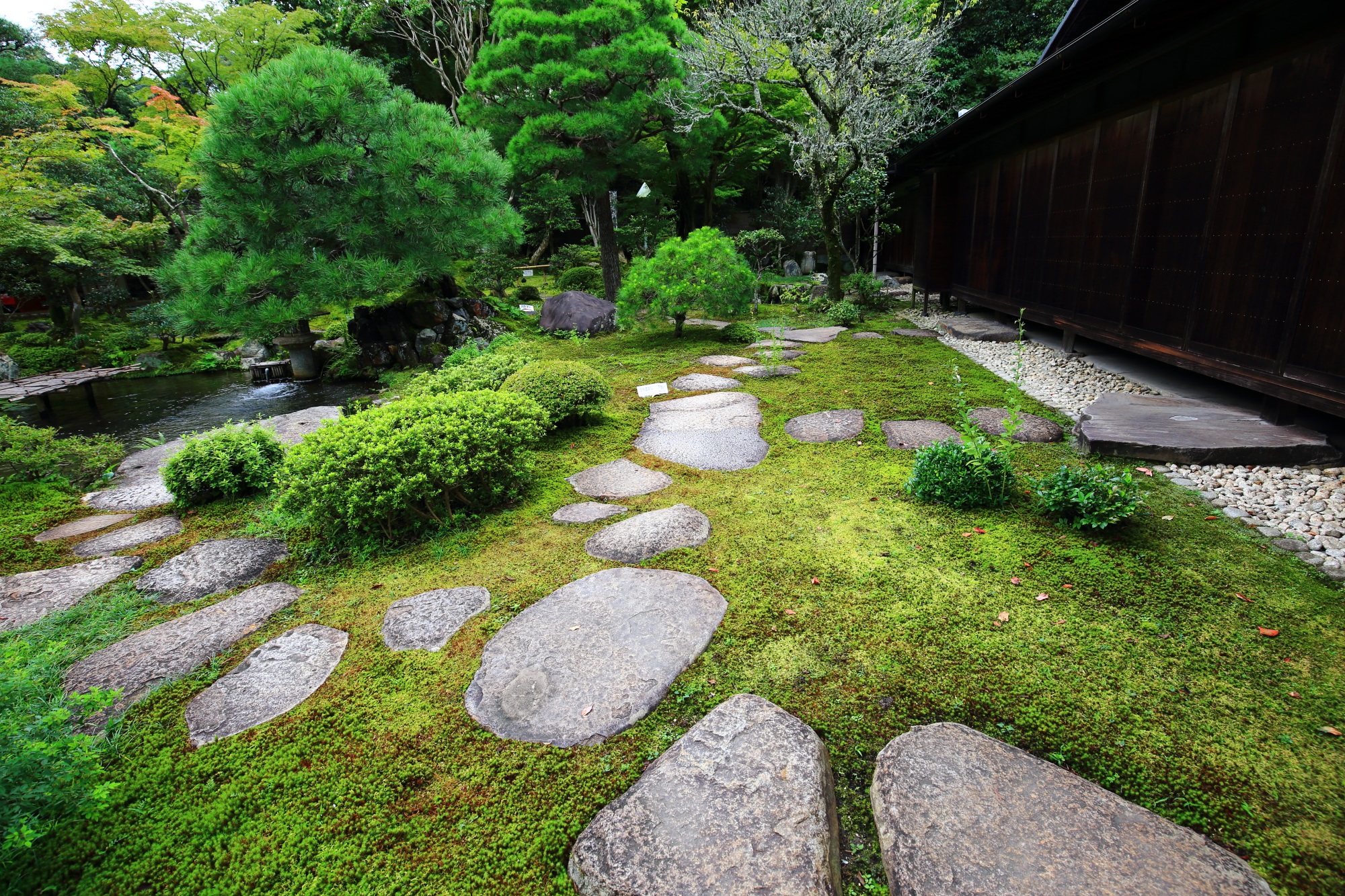 南禅寺大寧軒の庭園の苔と飛び石