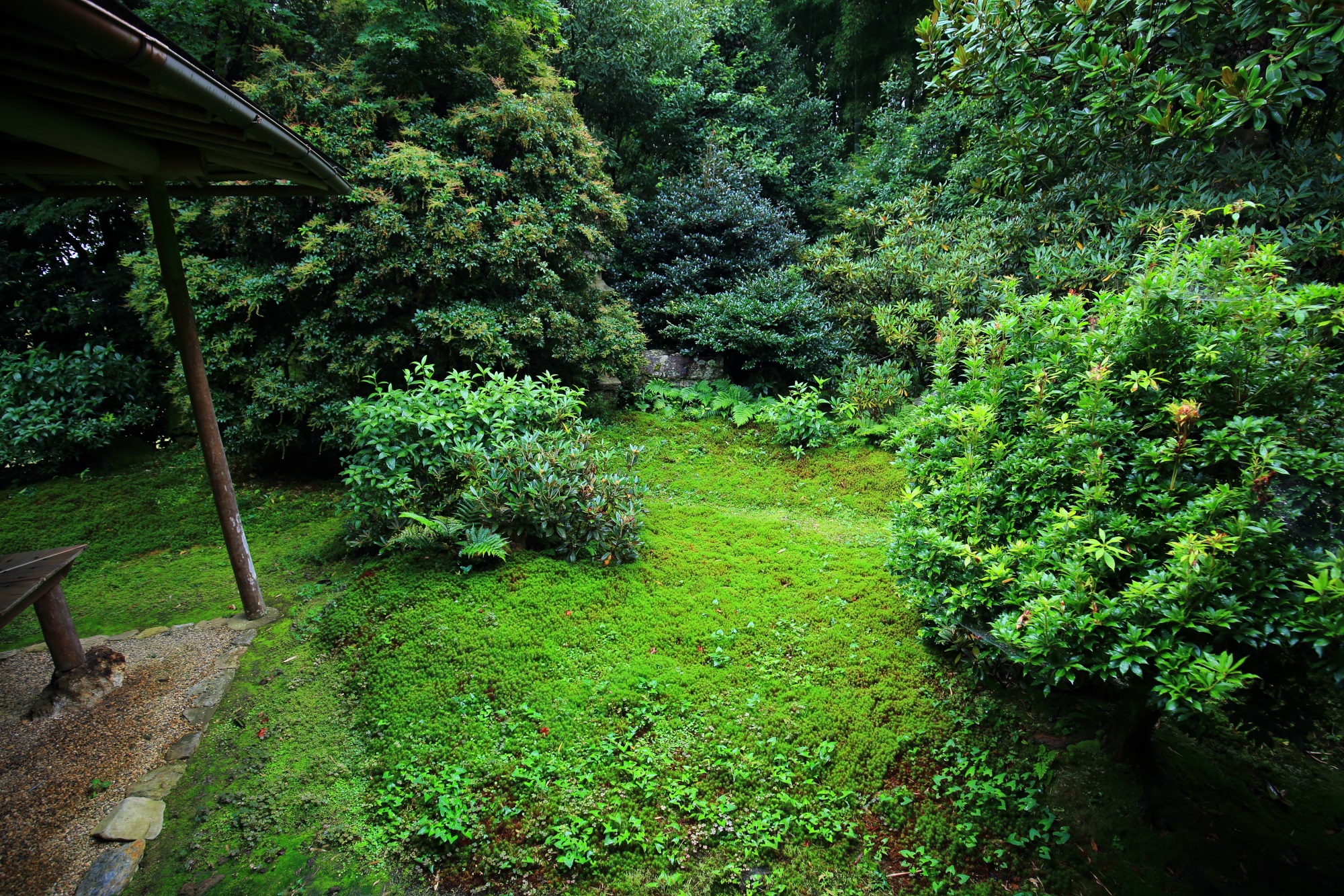京都直指庵の本堂の美しい中庭