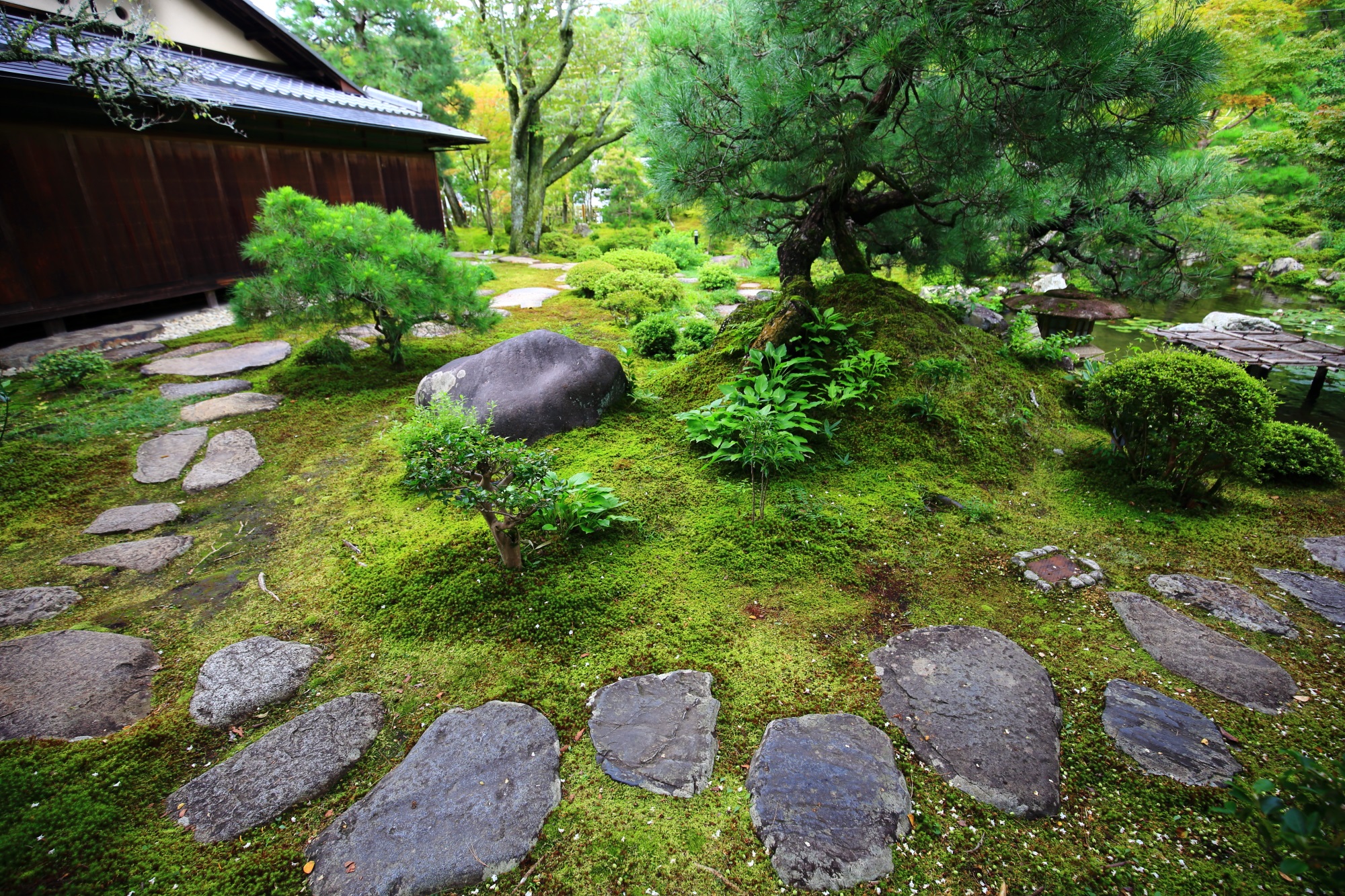 南禅寺大寧軒の池泉回遊式庭園の飛び石と苔