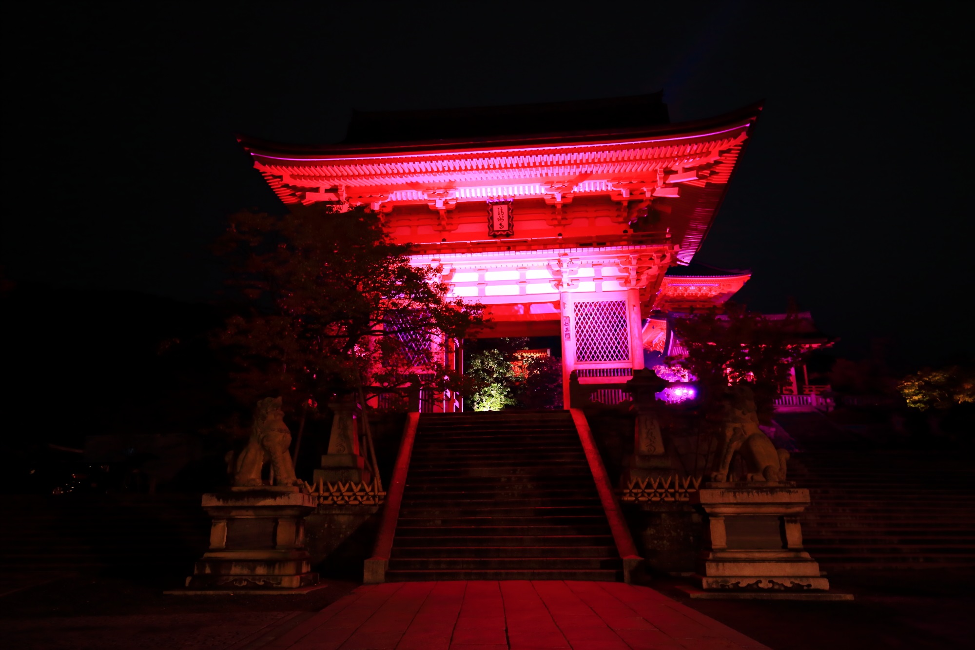 ピンクリボンキャンペーンの清水寺のピンクの仁王門ライトアップ