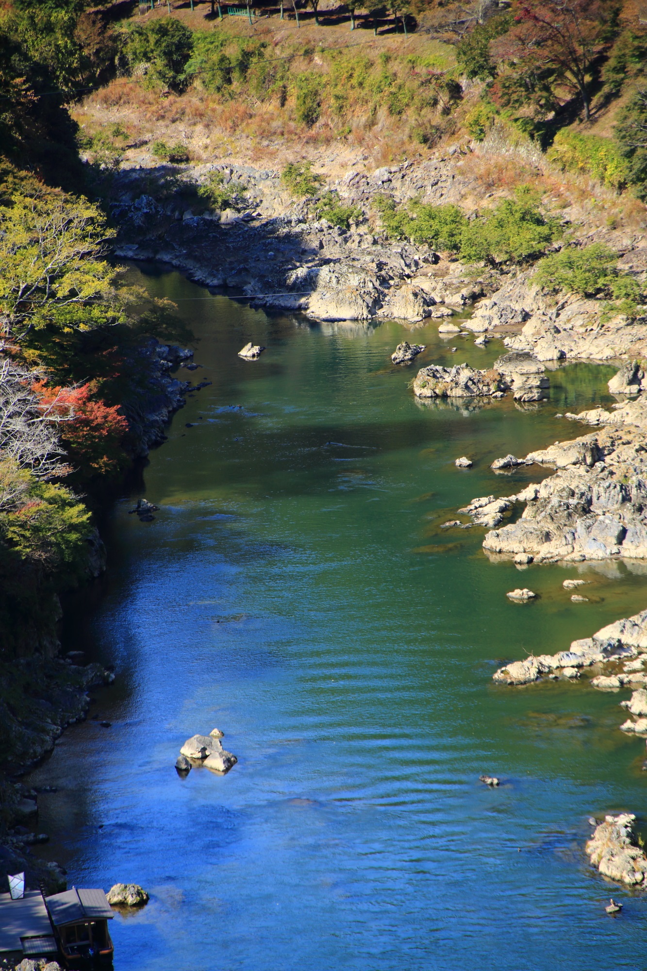 嵐山公園　亀山地区から望む美しい保津川