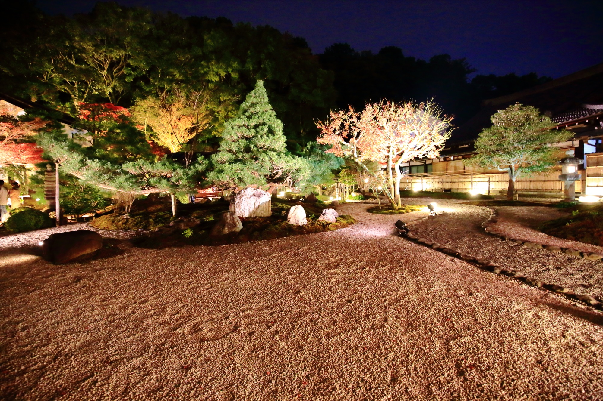 Shiun-no-niwa konkai-Komyo-ji temple Kyoto 紫雲の庭 金戒光明寺 ライトアップ