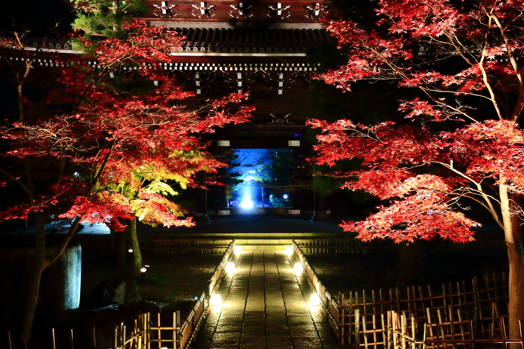 Kyoto Konkaikomyoji temple 紅葉 見ごろ 山門 ライトアップ