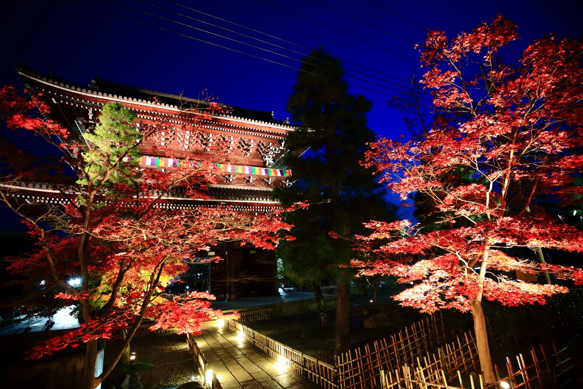 Konkai-Komyo-ji temple Kyoto 紅葉 山門 ライトアップ くろ谷