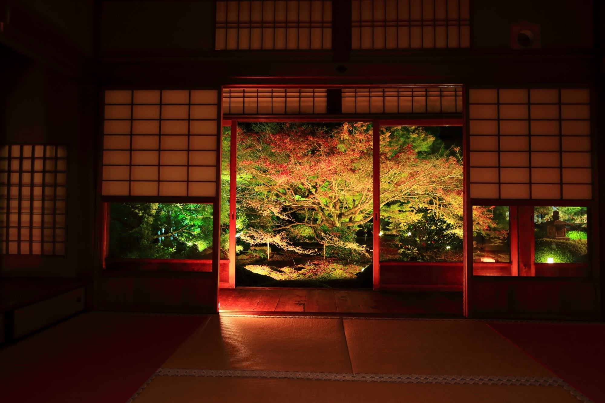 泉涌寺別院の雲龍院の書院から眺めた中庭の紅葉ライトアップ