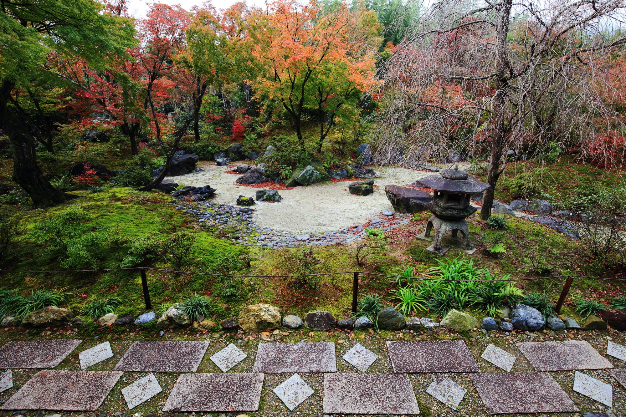 宝筐院の枯山水庭園と色とりどりの紅葉