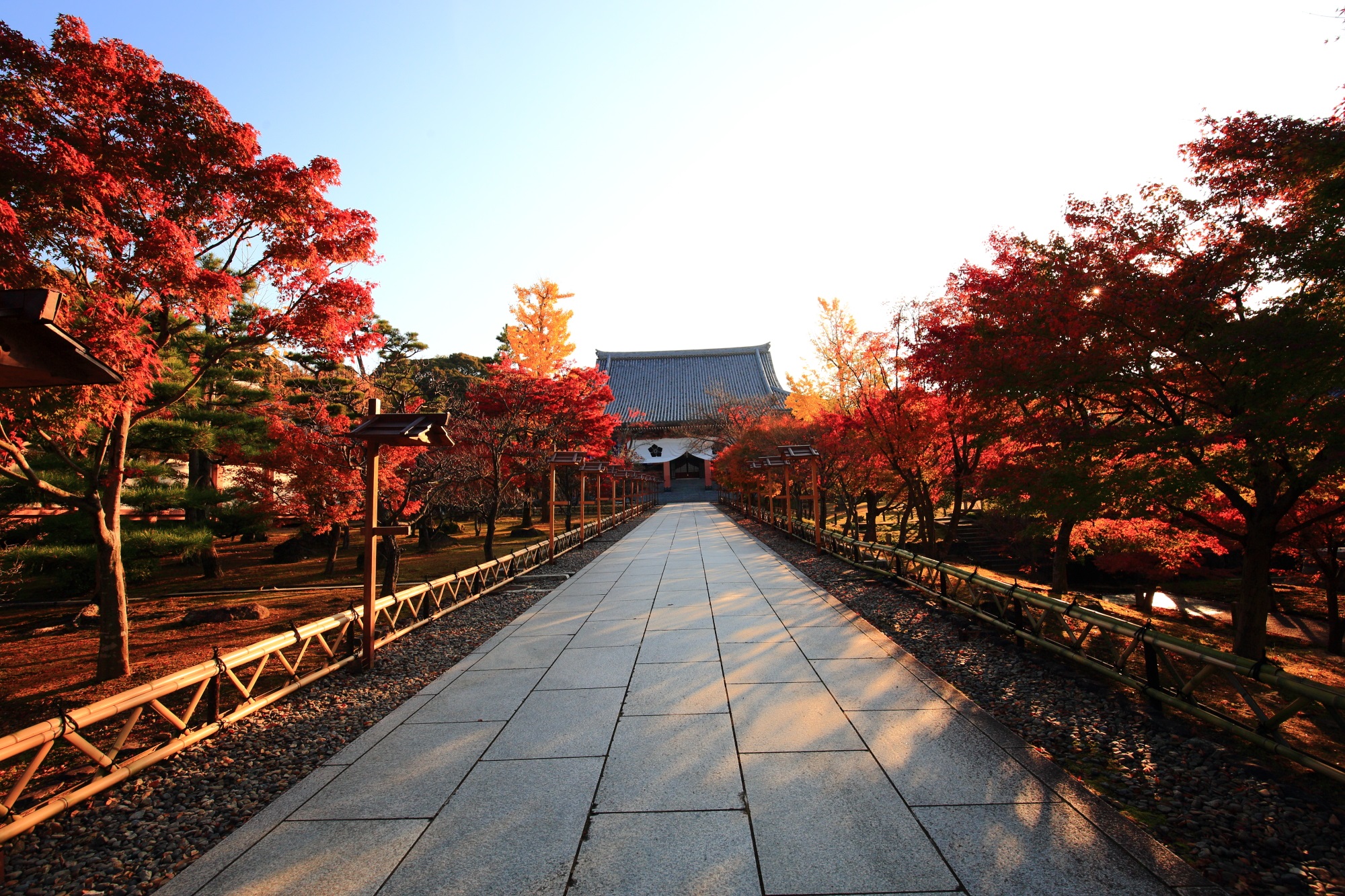 煌びやかな紅葉の溢れる金堂前の参道