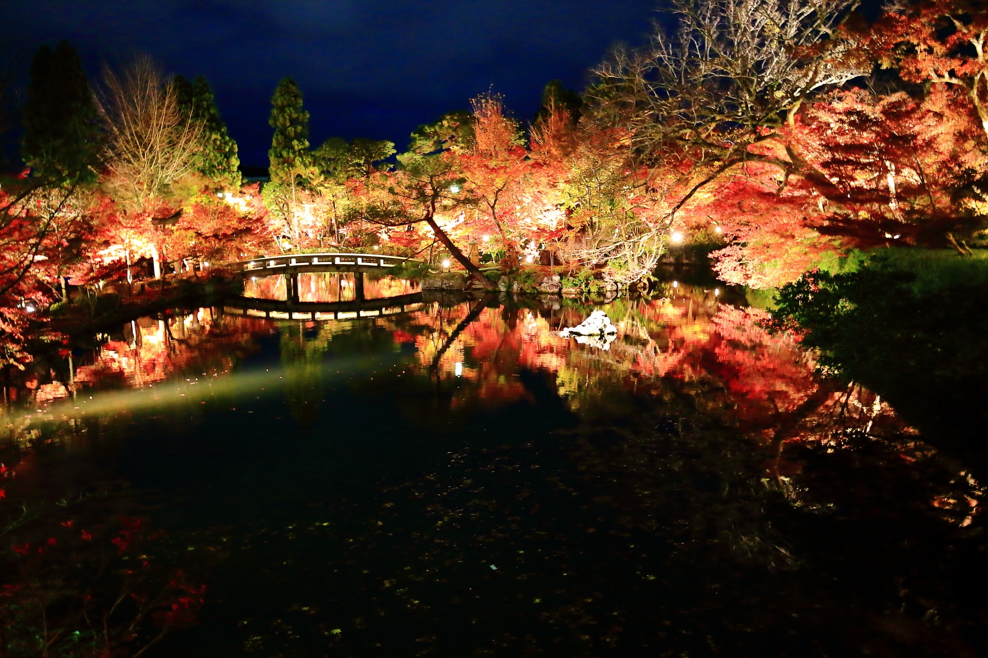 人、人、人、人、人、もみじ、人…　それでも京都の秋は永観堂