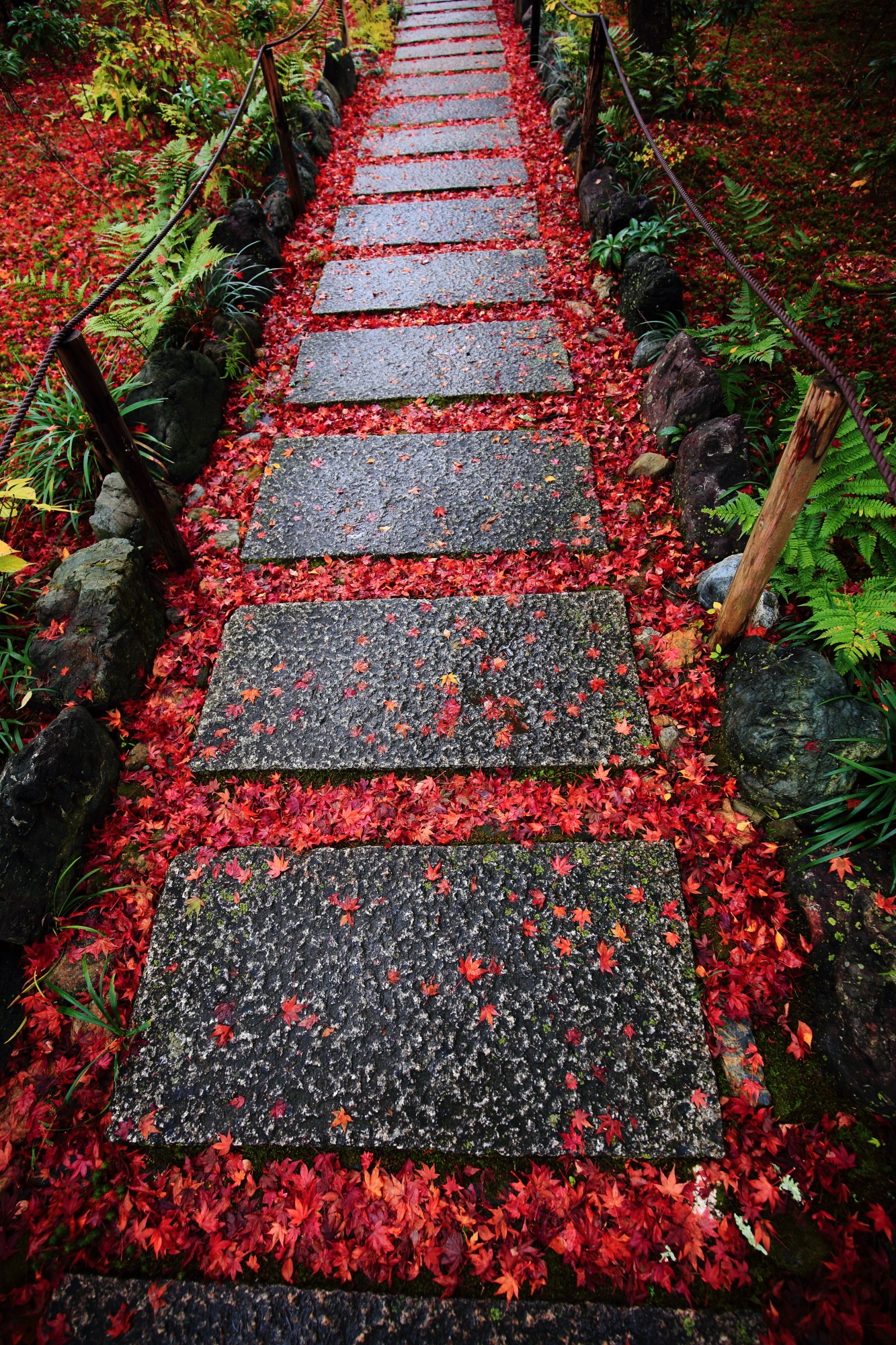 もみじの名所の宝筐院の散り紅葉の風情ある参道