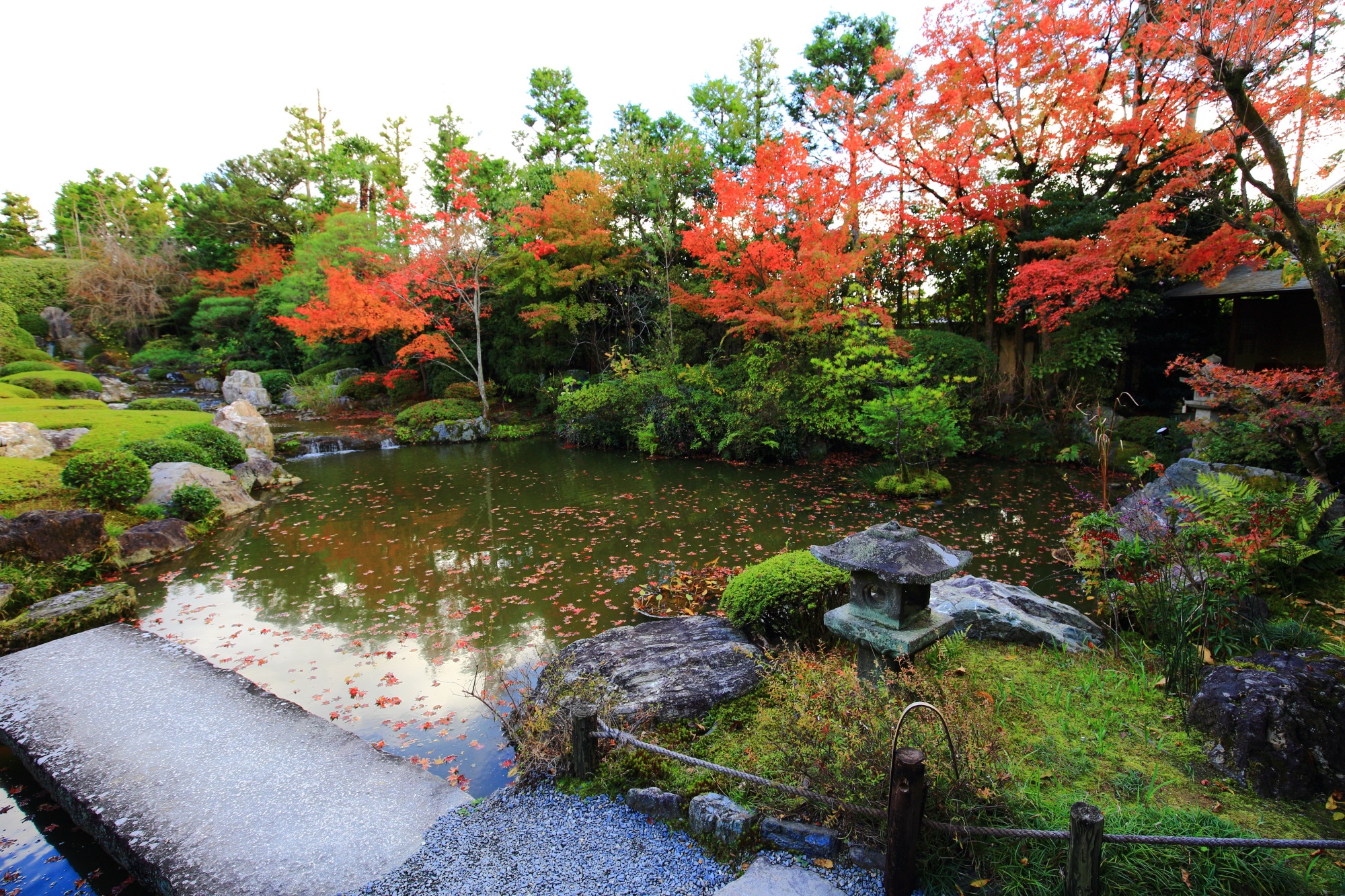 余香苑の水と緑と風情あるもみじ　秋の妙心寺退蔵院