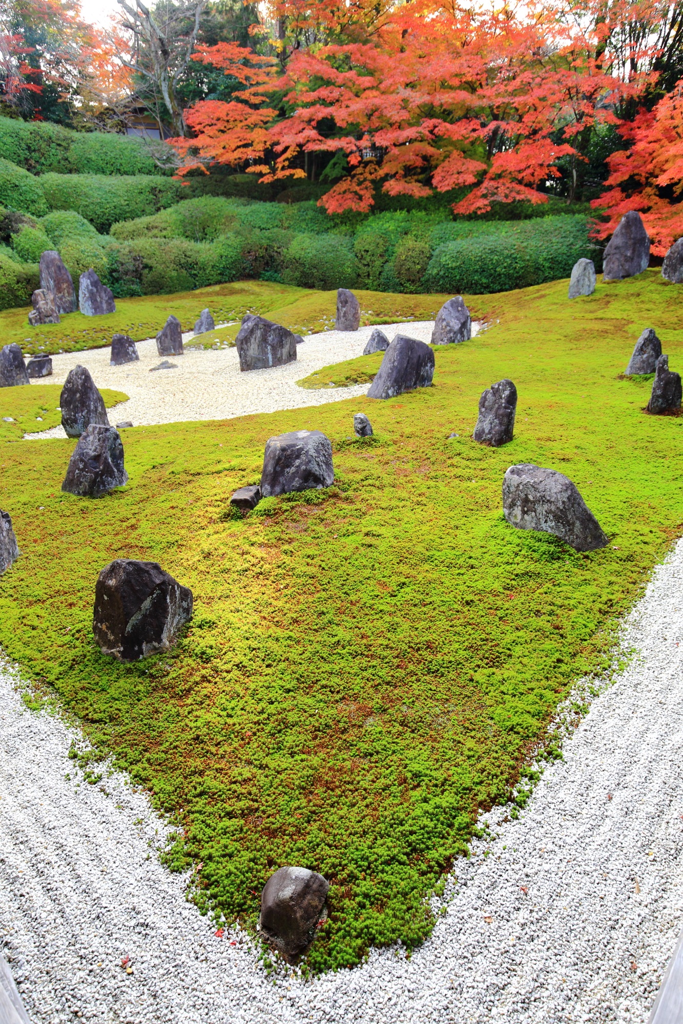 形や大きさの違うたくさんの岩が配された光明院の庭園