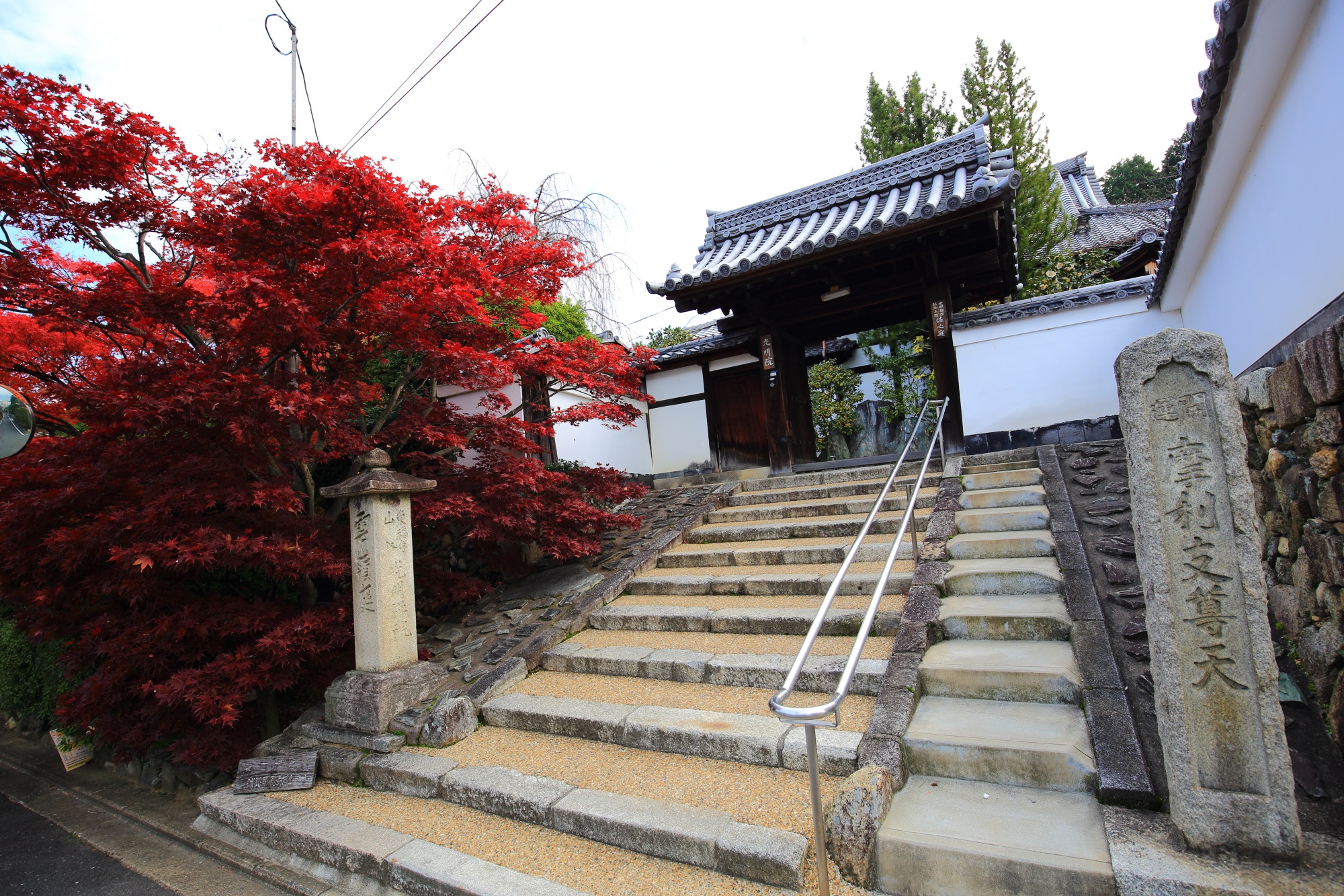 東福寺塔頭光明院の山門と鮮やかな紅葉