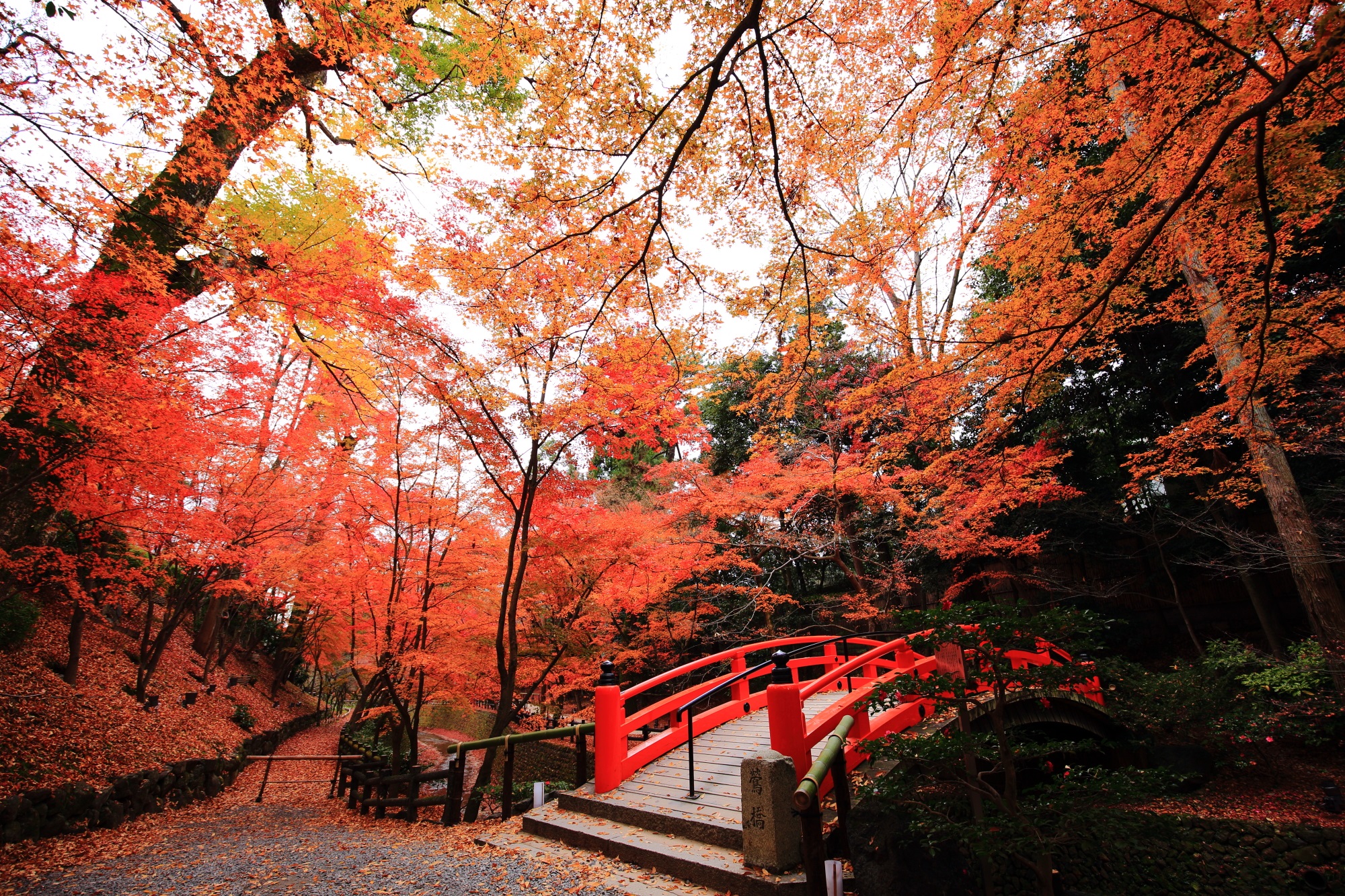 Uguisu-Bashi Bridge Kitano-Tenmangu Shrine Kyoto autumn leaves もみじ苑 見ごろ 紅葉