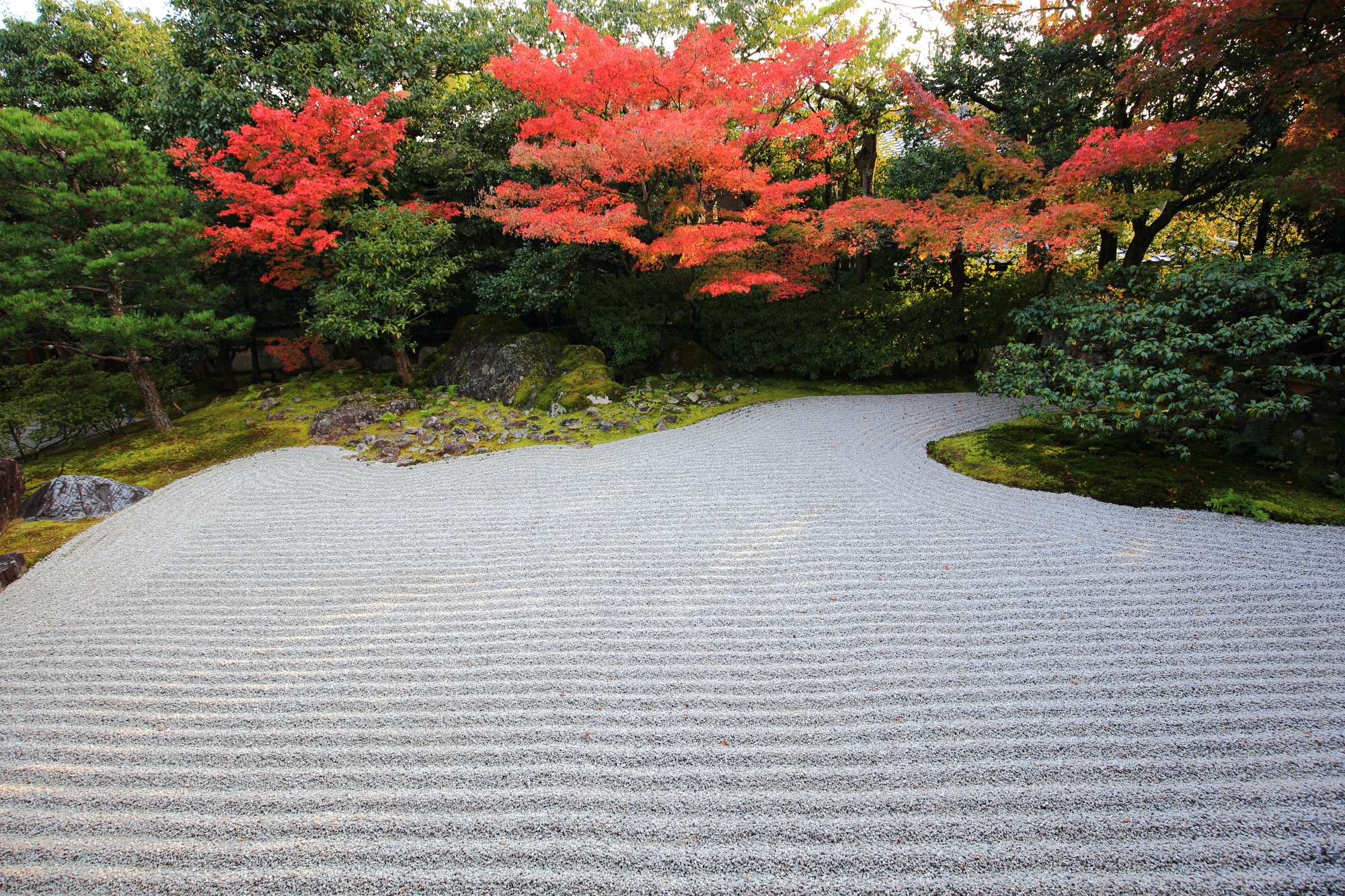 高台寺 圓徳院の南庭の白砂と美しい赤い紅葉