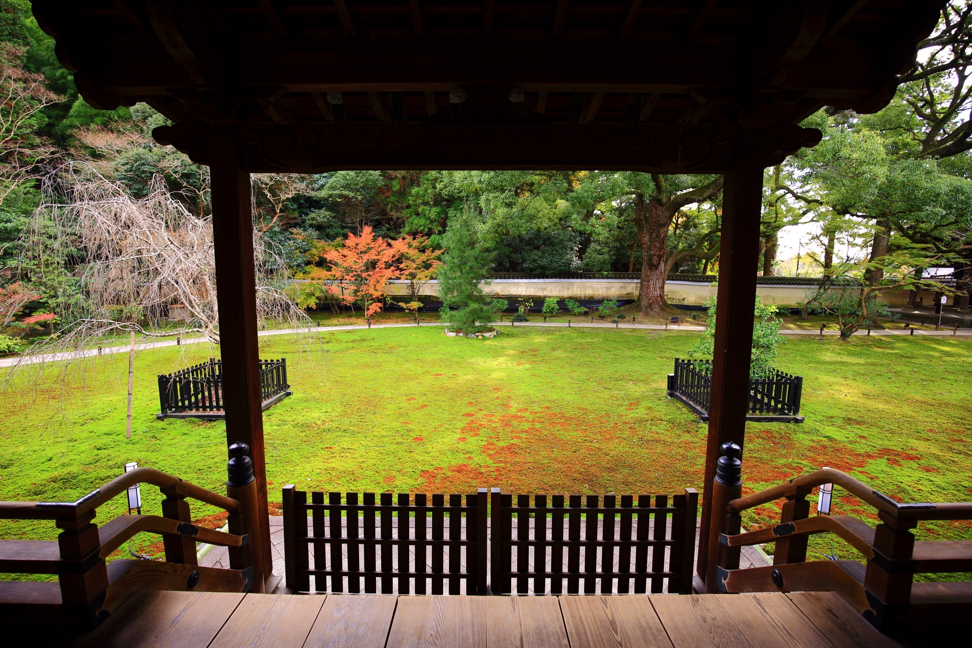 Kyoto Shorenin-Temple 宸殿 苔 庭園 紅葉 秋