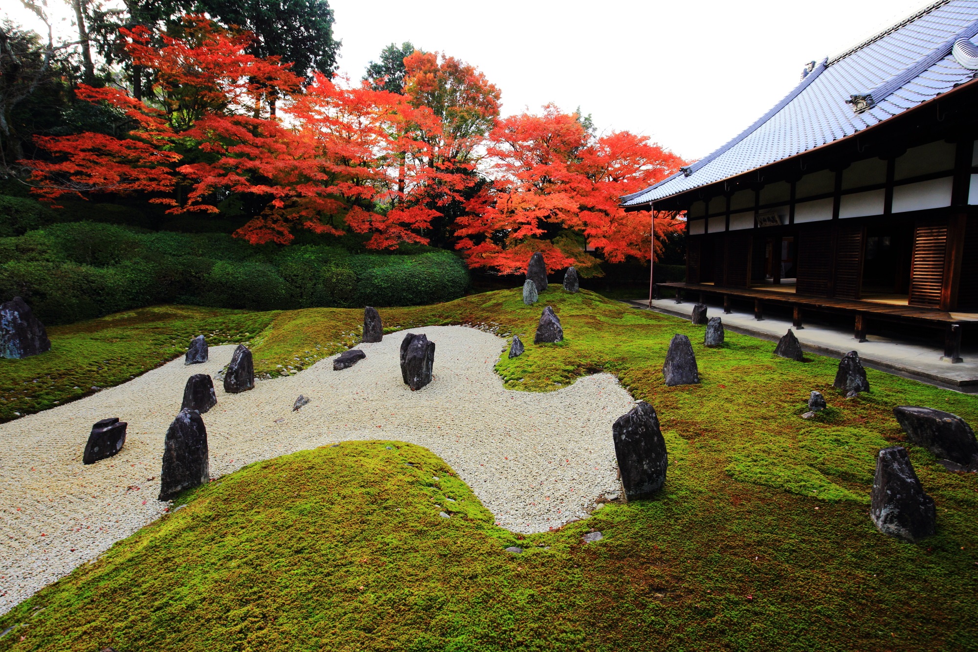 東福寺光明院の岩と苔と赤い紅葉の美しい波心庭