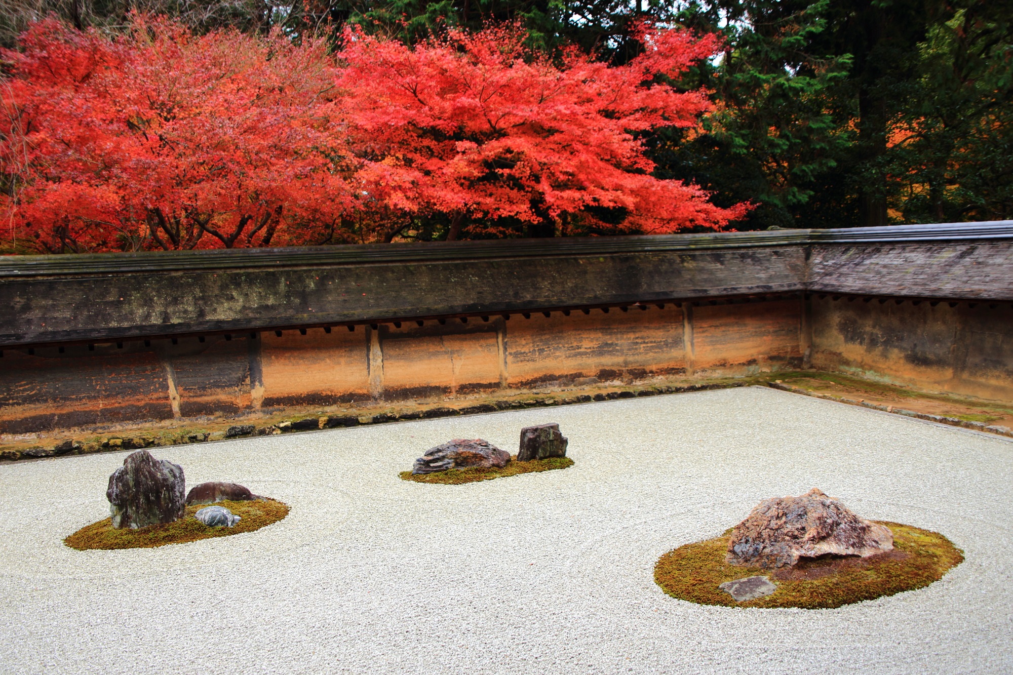 Ryoan-ji Temple autumn leaves Kyoto