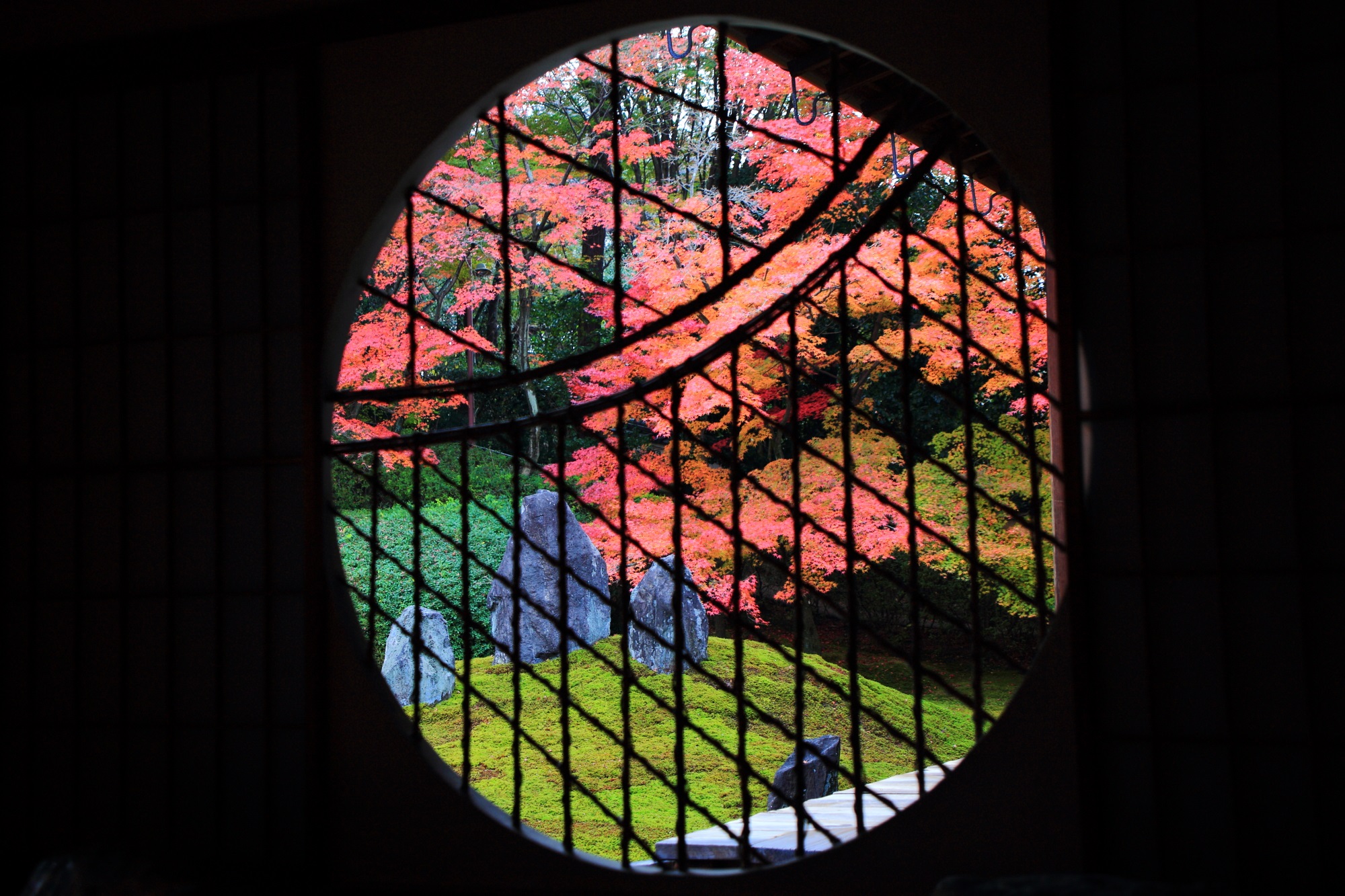 丸い吉野窓から見える庭園の紅葉と苔と岩