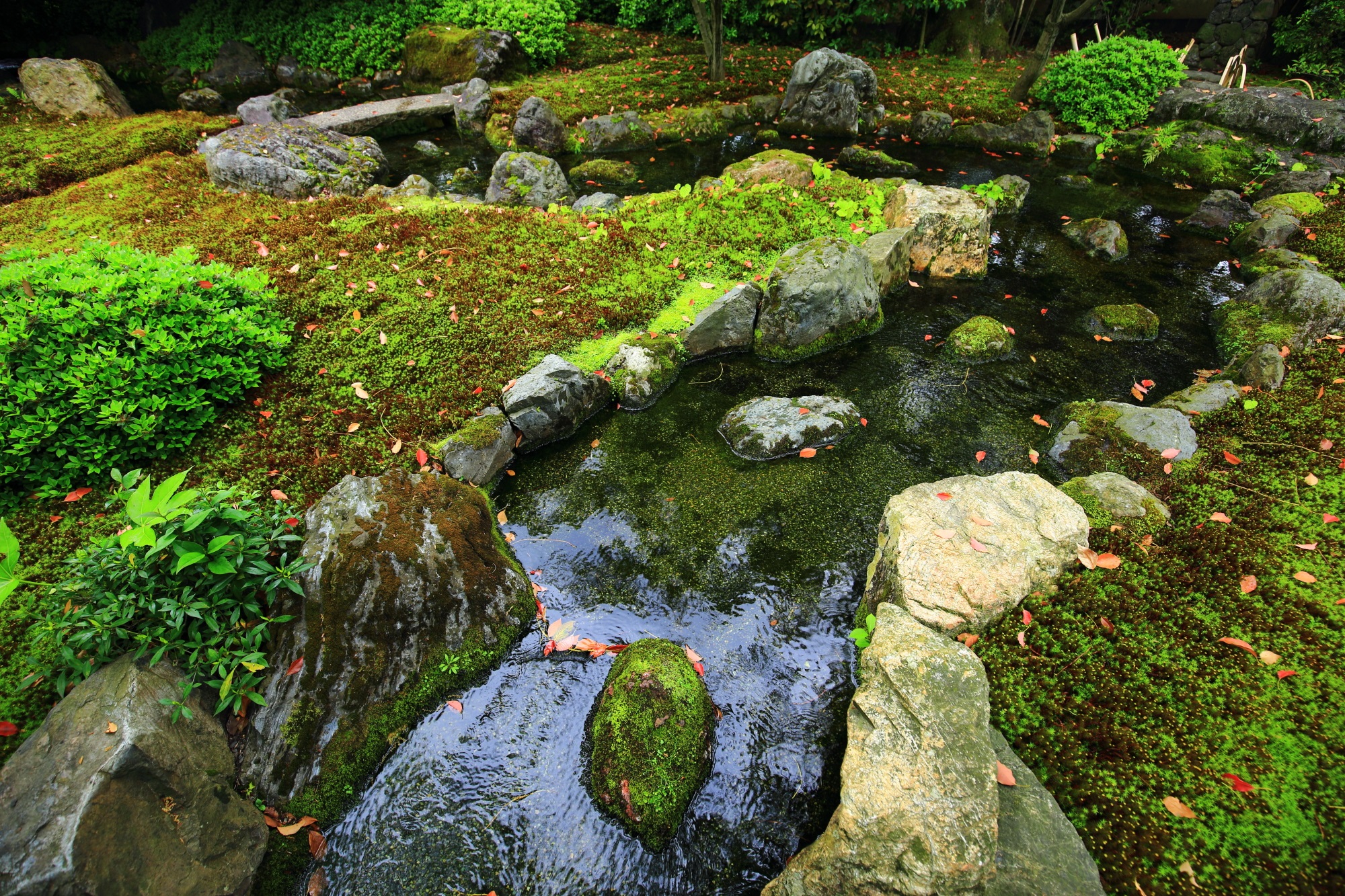 小川から池に水をひく平安の庭
