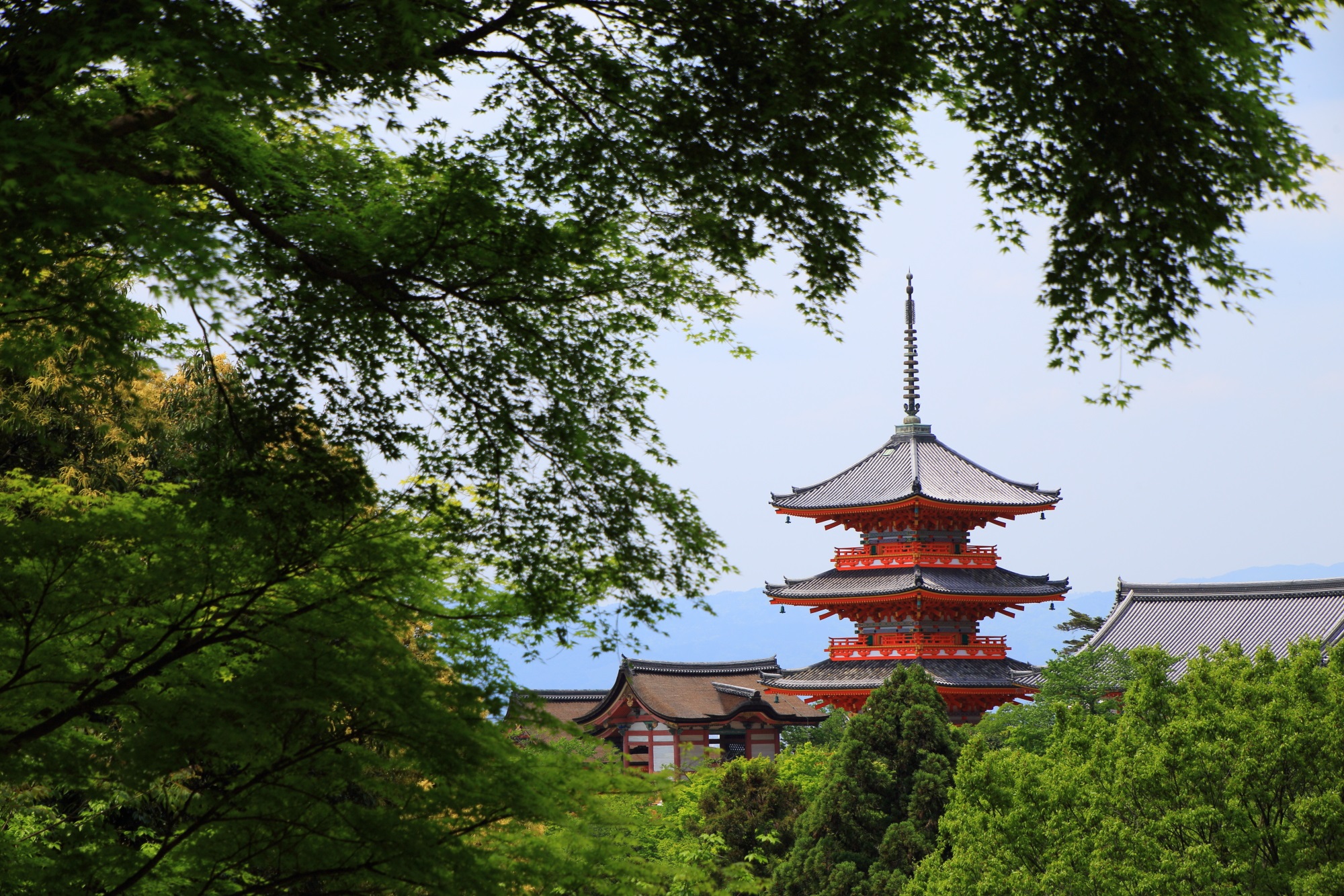 清水寺の三重塔と新緑