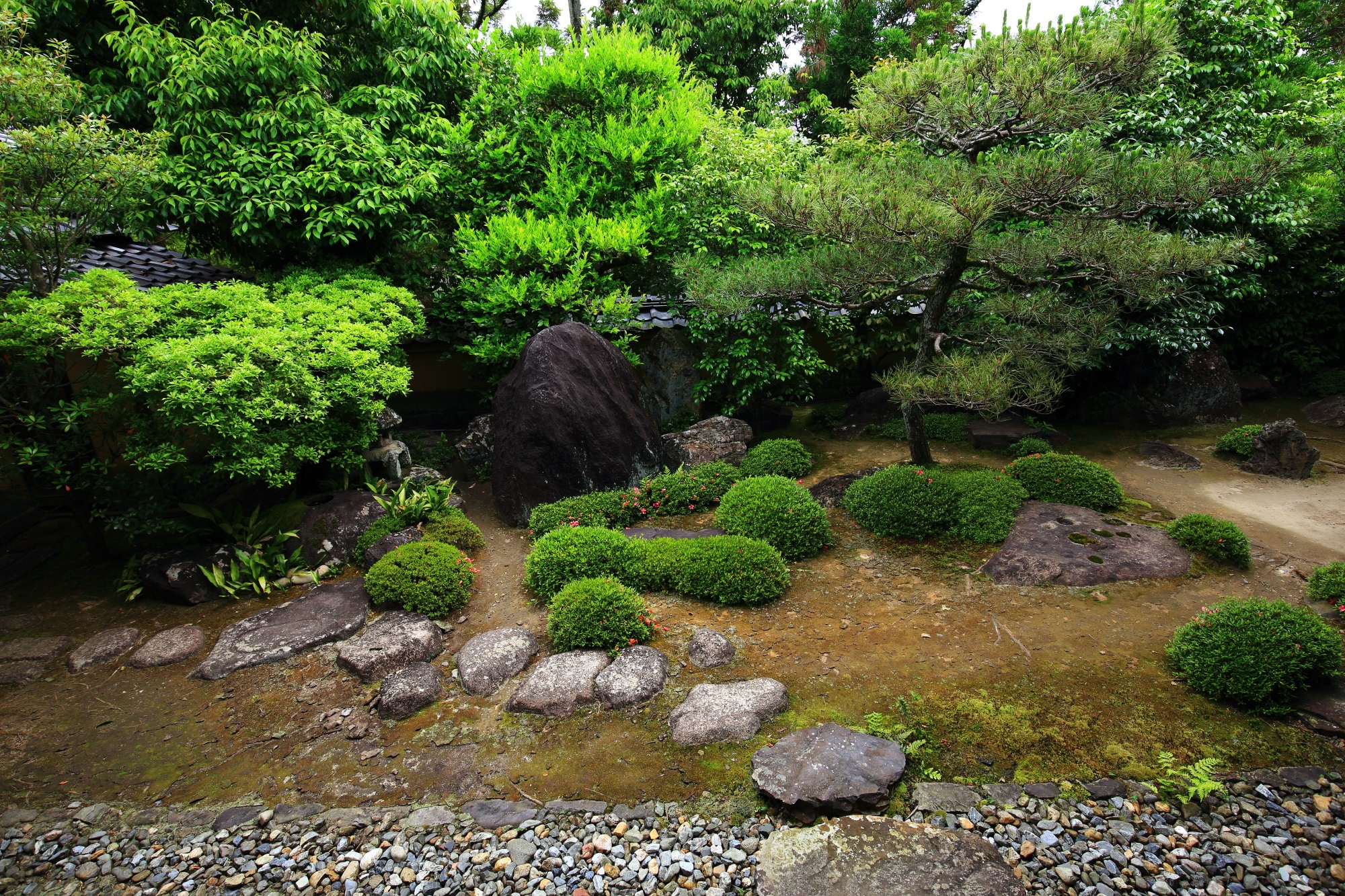 刈り込みや力強い岩が配された一休寺の方丈庭園北庭（北西側）