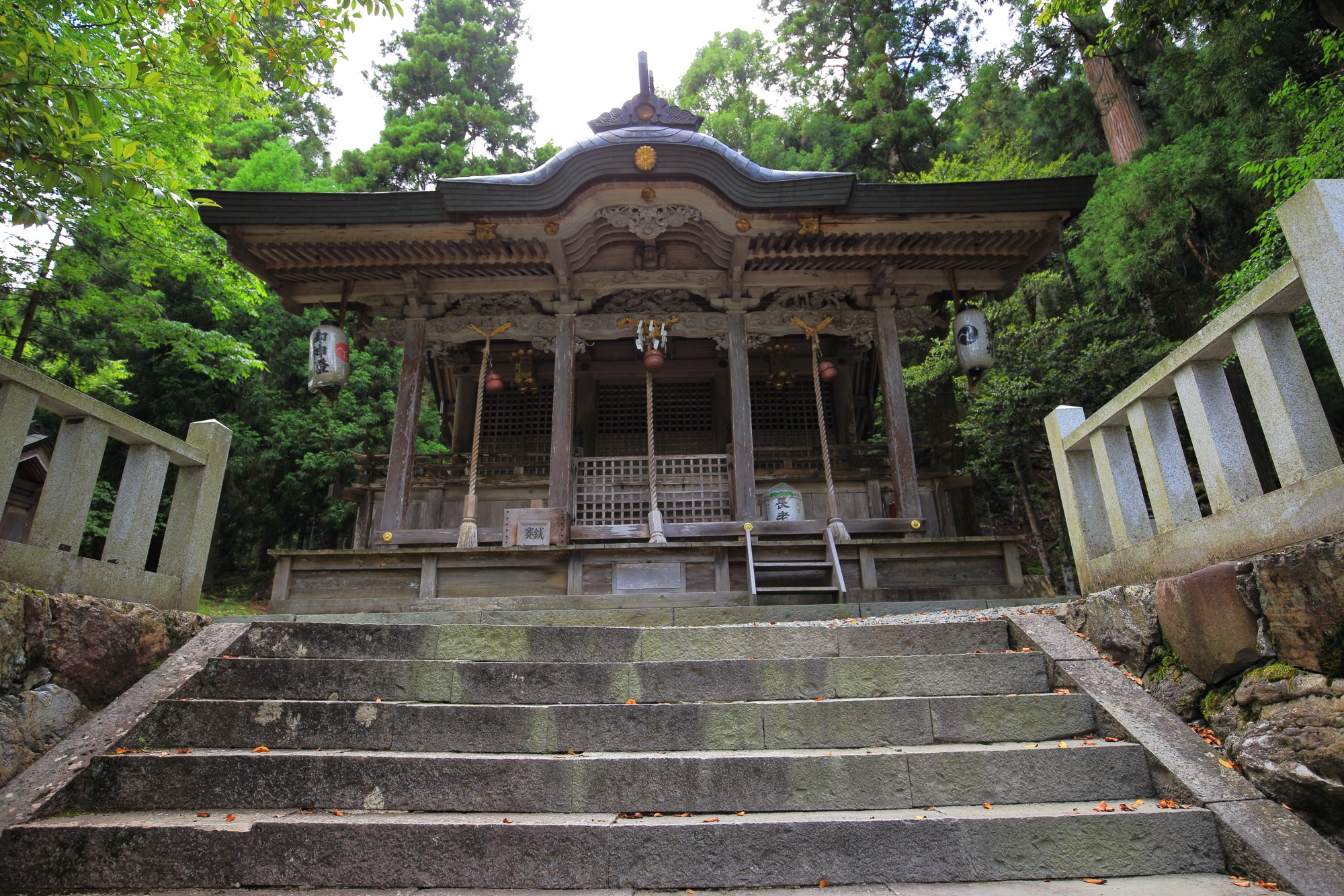 知井八幡神社の本殿