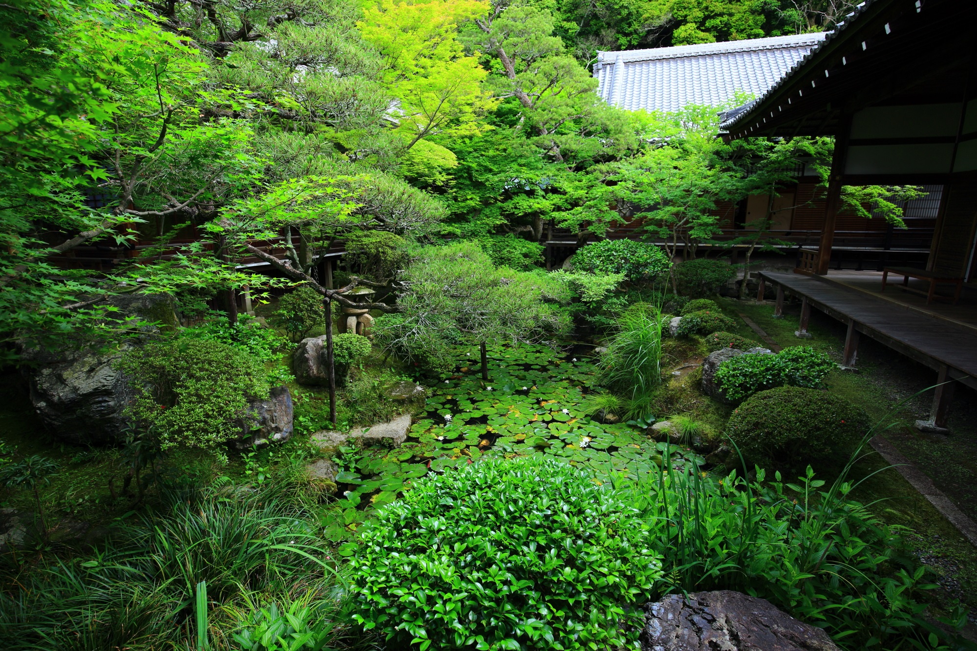 Kyoto Eikan-do Temple green garden