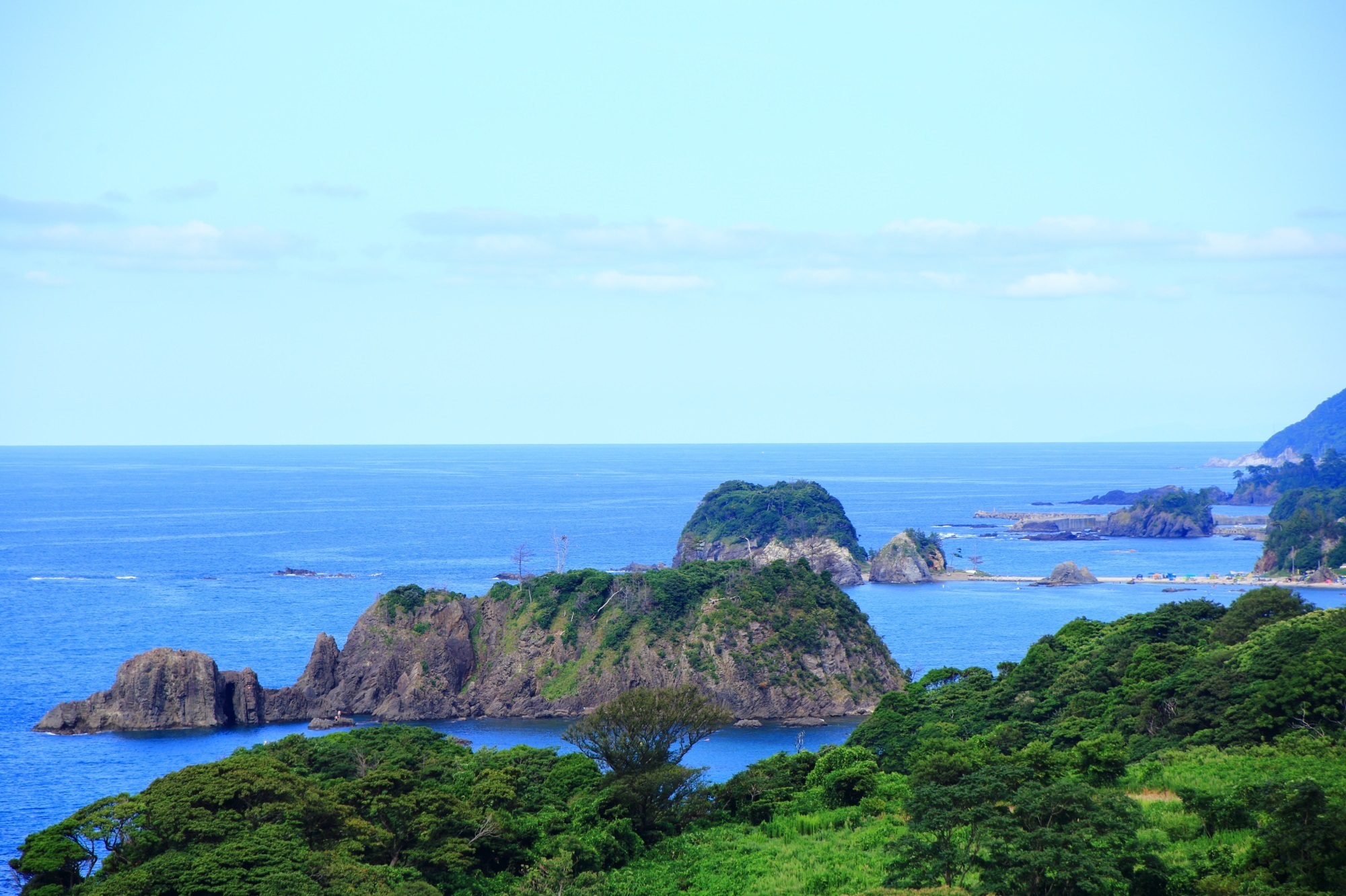 植物や木々が生い茂った手前の綺麗な緑と断崖や日本海