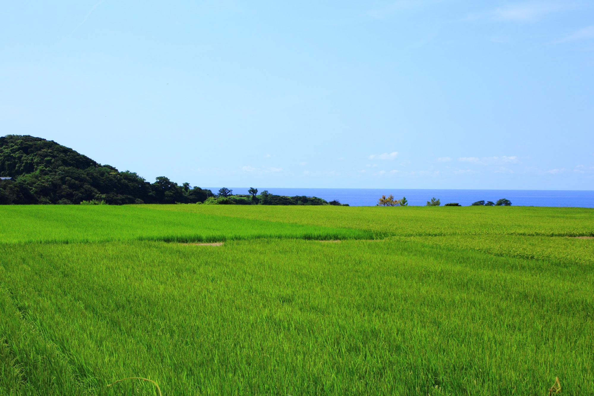 京丹後の田園に広がる長閑な風景と空気