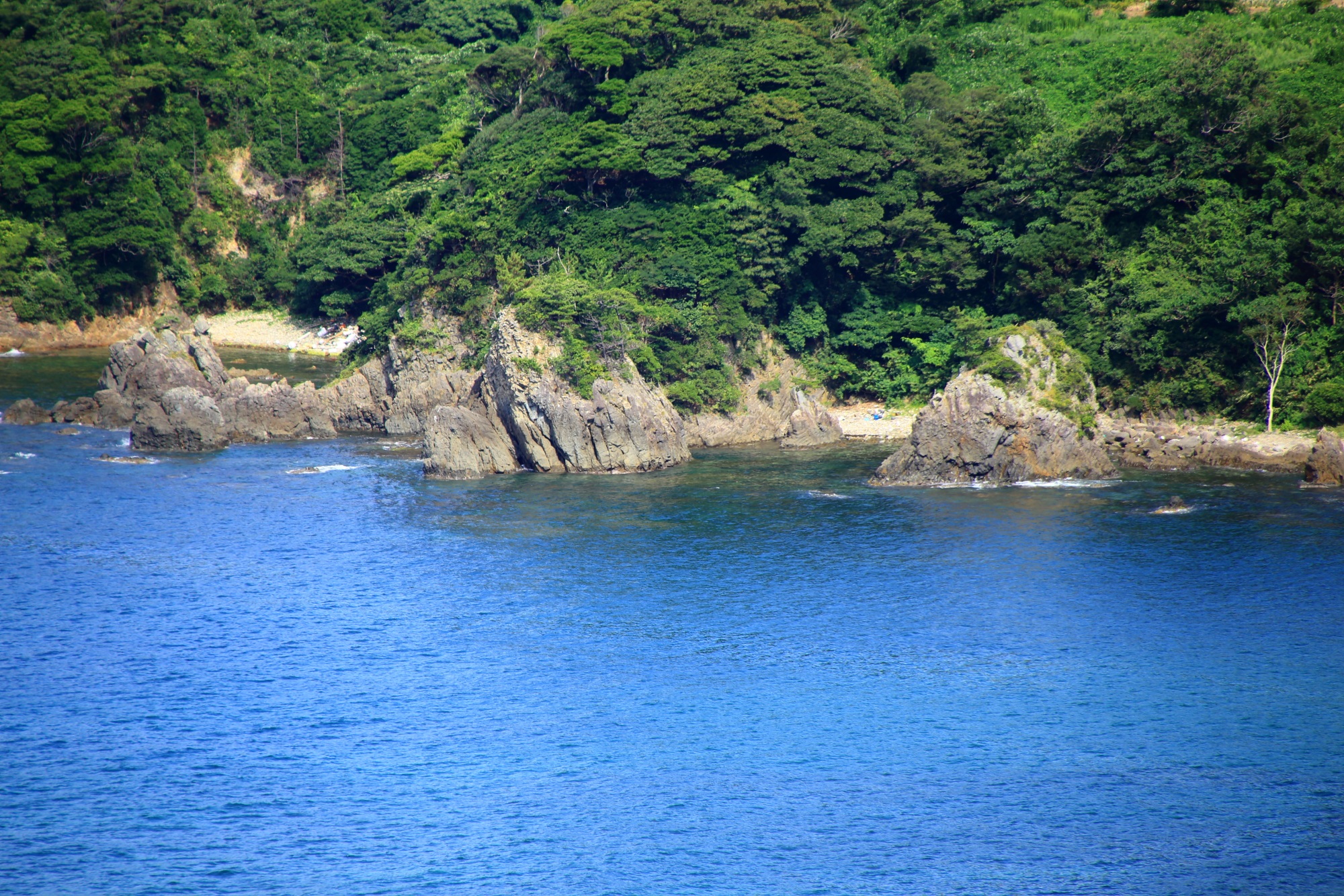 力強く荒い岩や木々がはっきり見える丹後松島