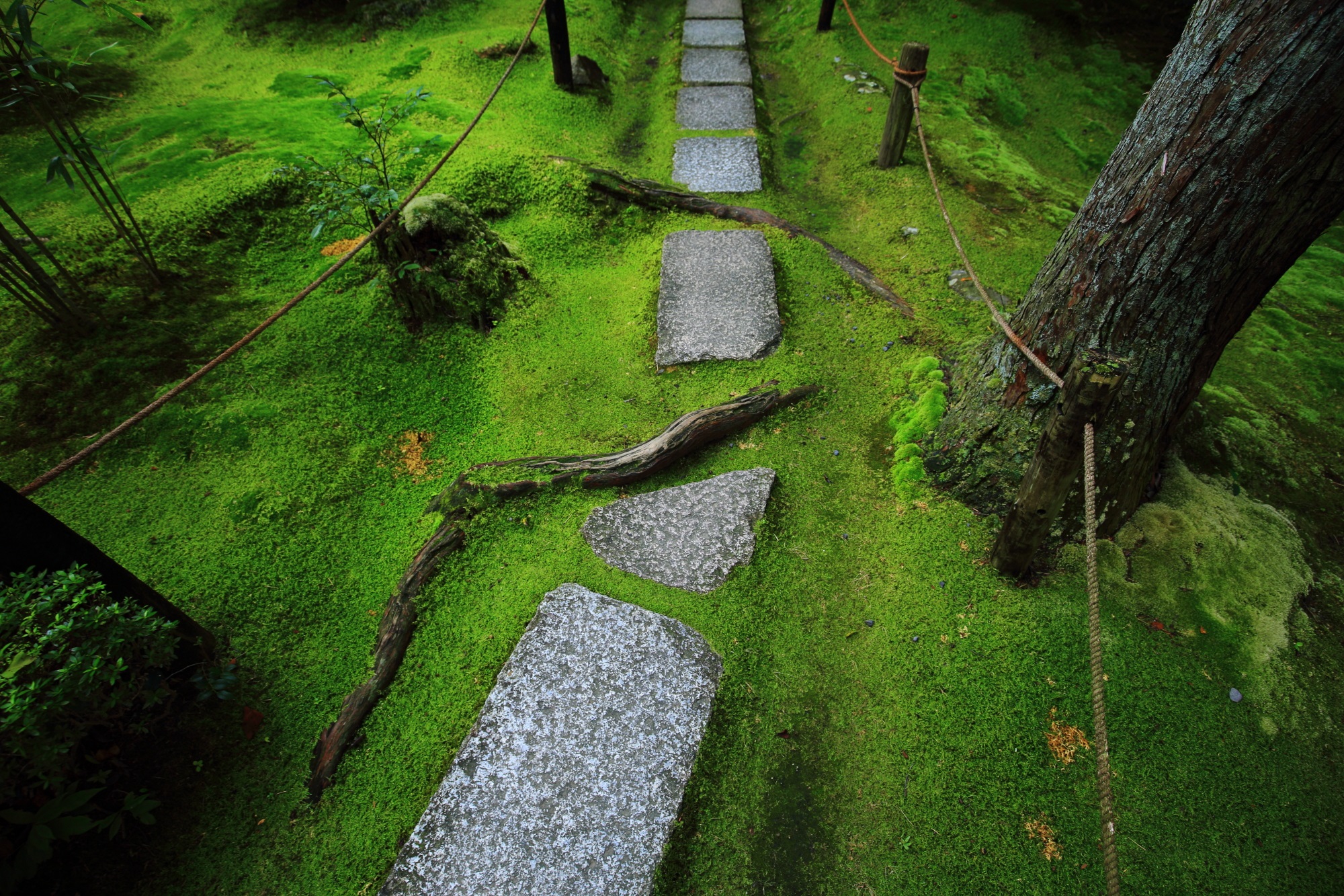 Kyoto Nanzen-ji Konchi-in Temple moss green