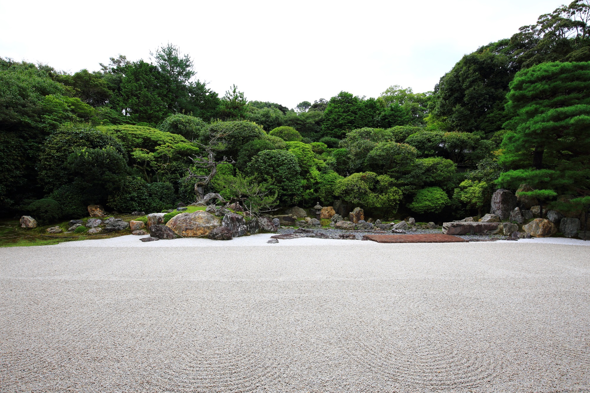 鶴亀の庭園 金地院 京都 綺麗