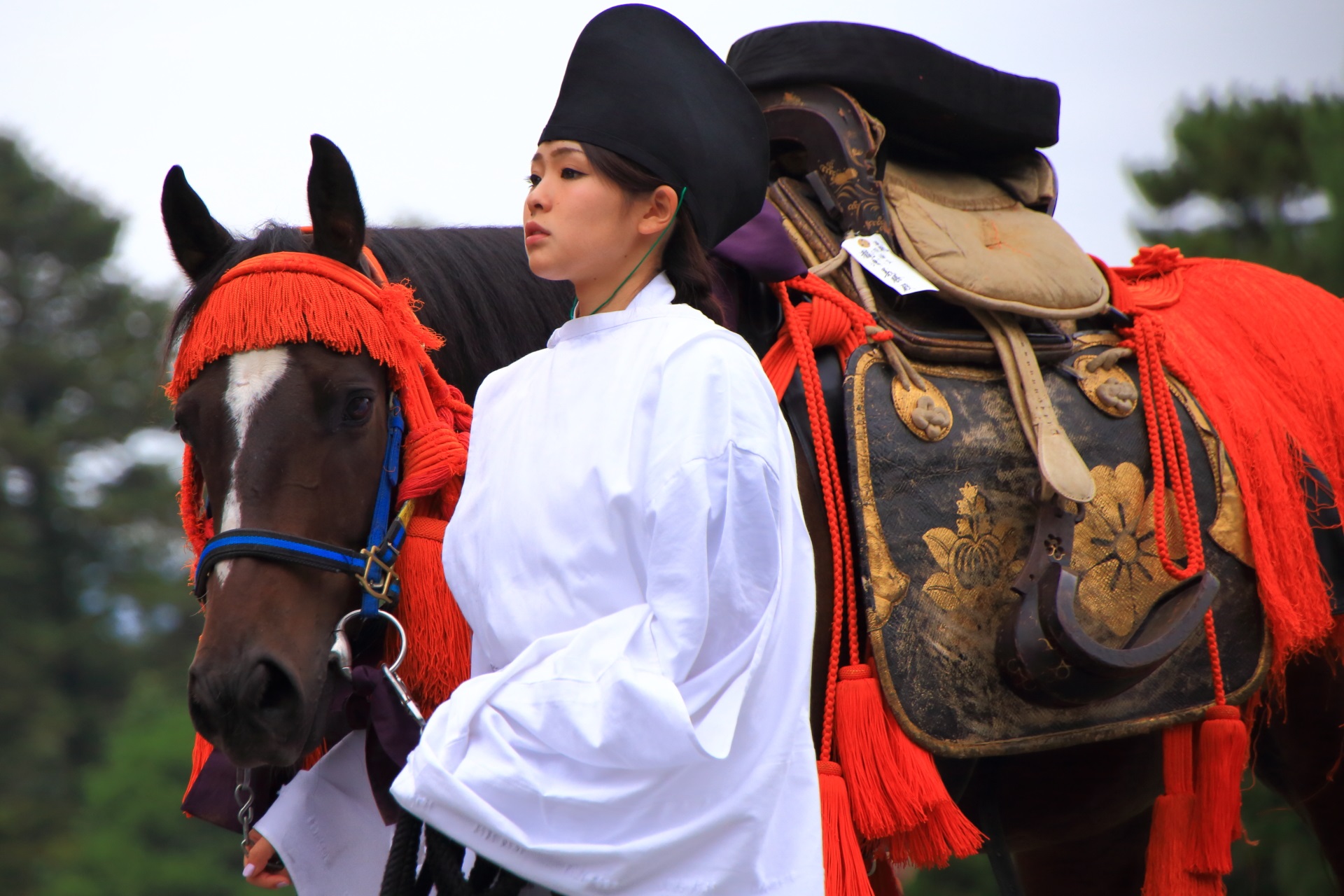 時代祭の可愛い馬と女性