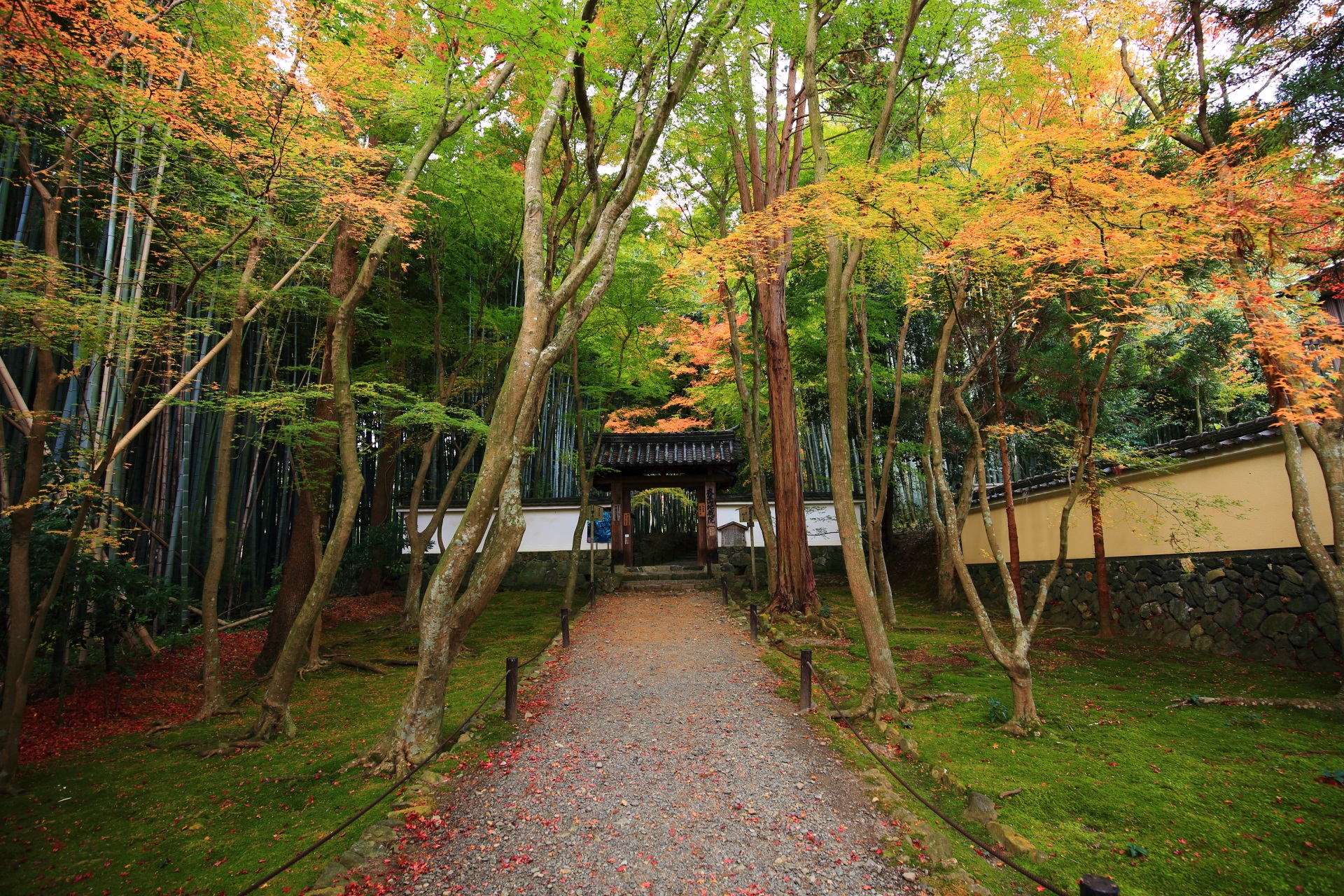 竹の寺の山門前の参道と紅葉