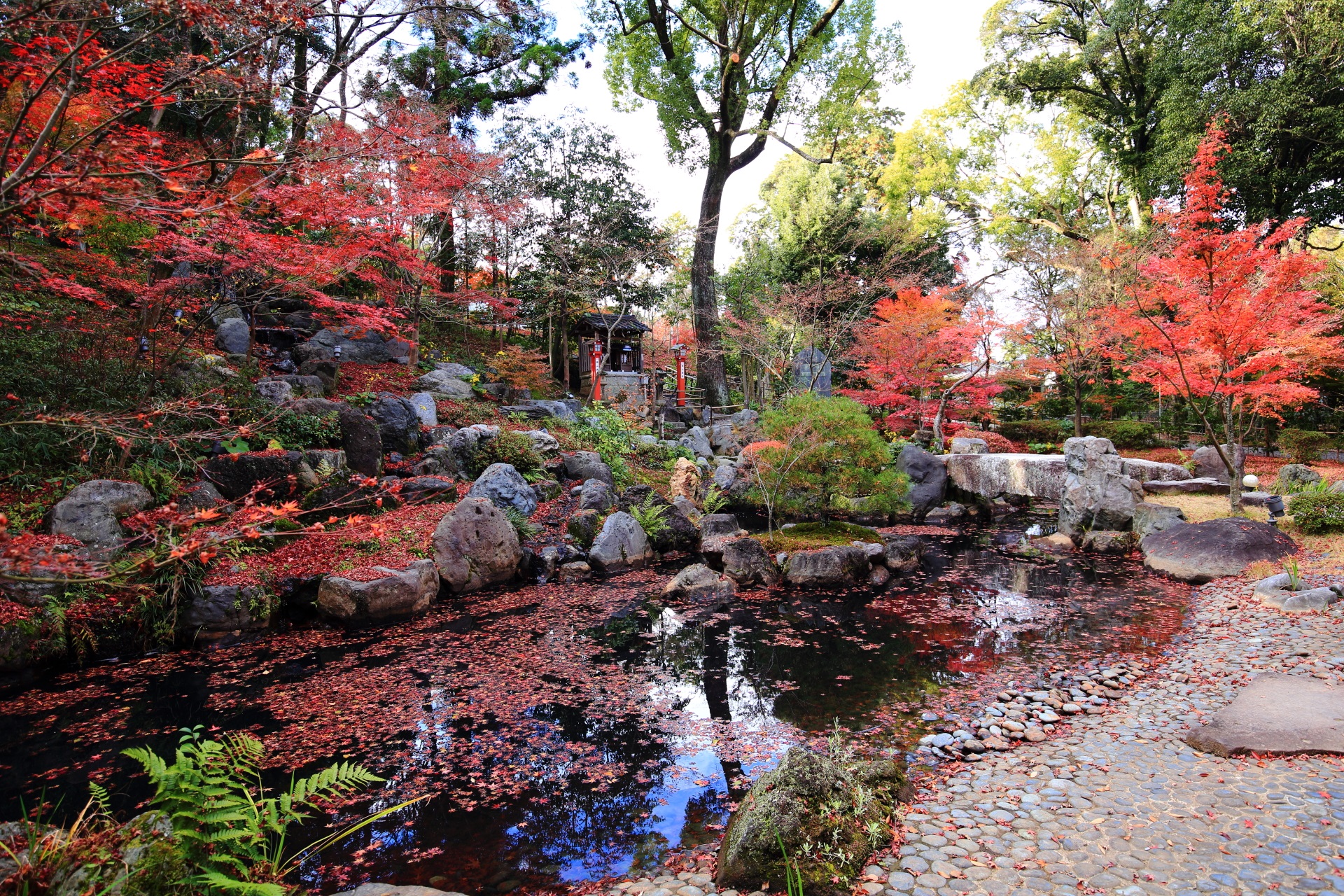 長岡天満宮の池泉式と枯山水の融合した「錦景苑」の紅葉