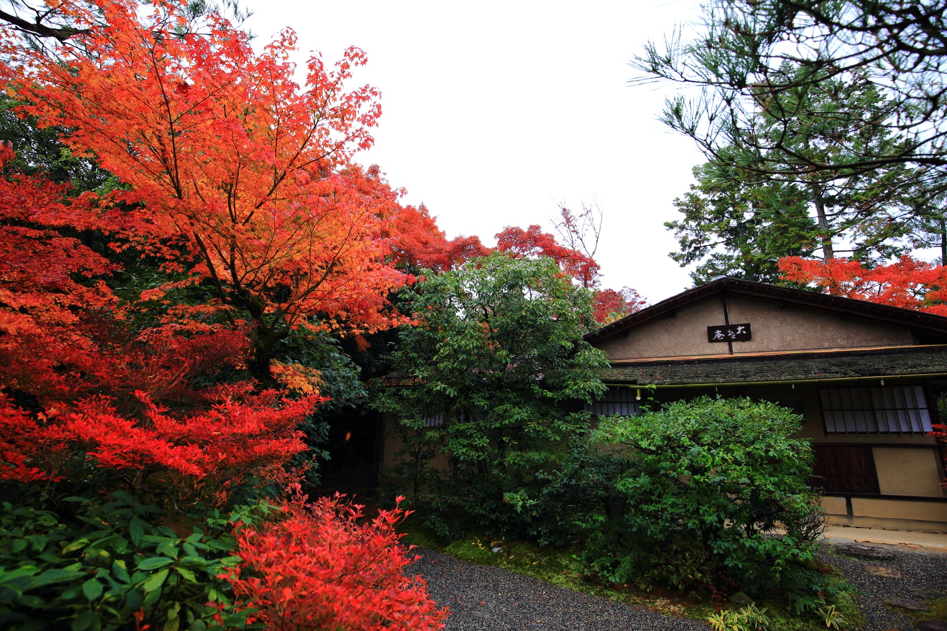 Kyoto Koetsu-ji Temple autumn leaves